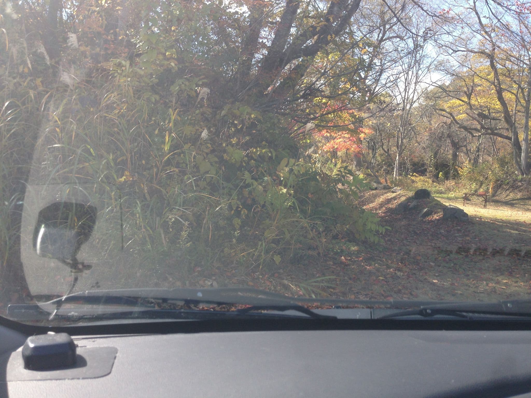 Street view near 花きりん, Ōshio — © tm3594 (CC BY-SA · Mapillary)