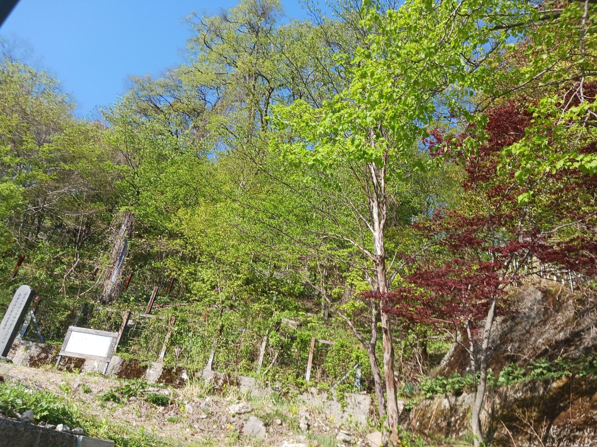Street view near 深山荘 高見屋, Yamagata — © seckey (CC BY-SA · Mapillary)