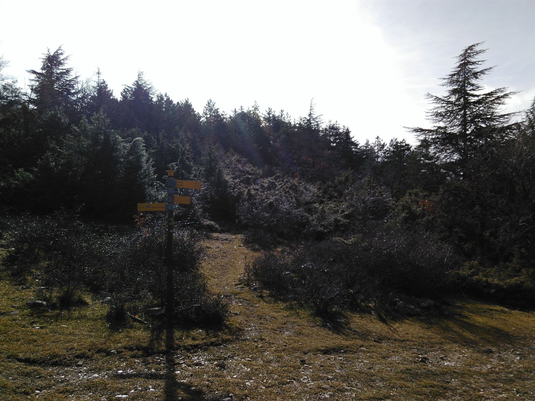 Street view near Jas de la Couanche, Bédoin — © smdvf84 (CC BY-SA · Mapillary)