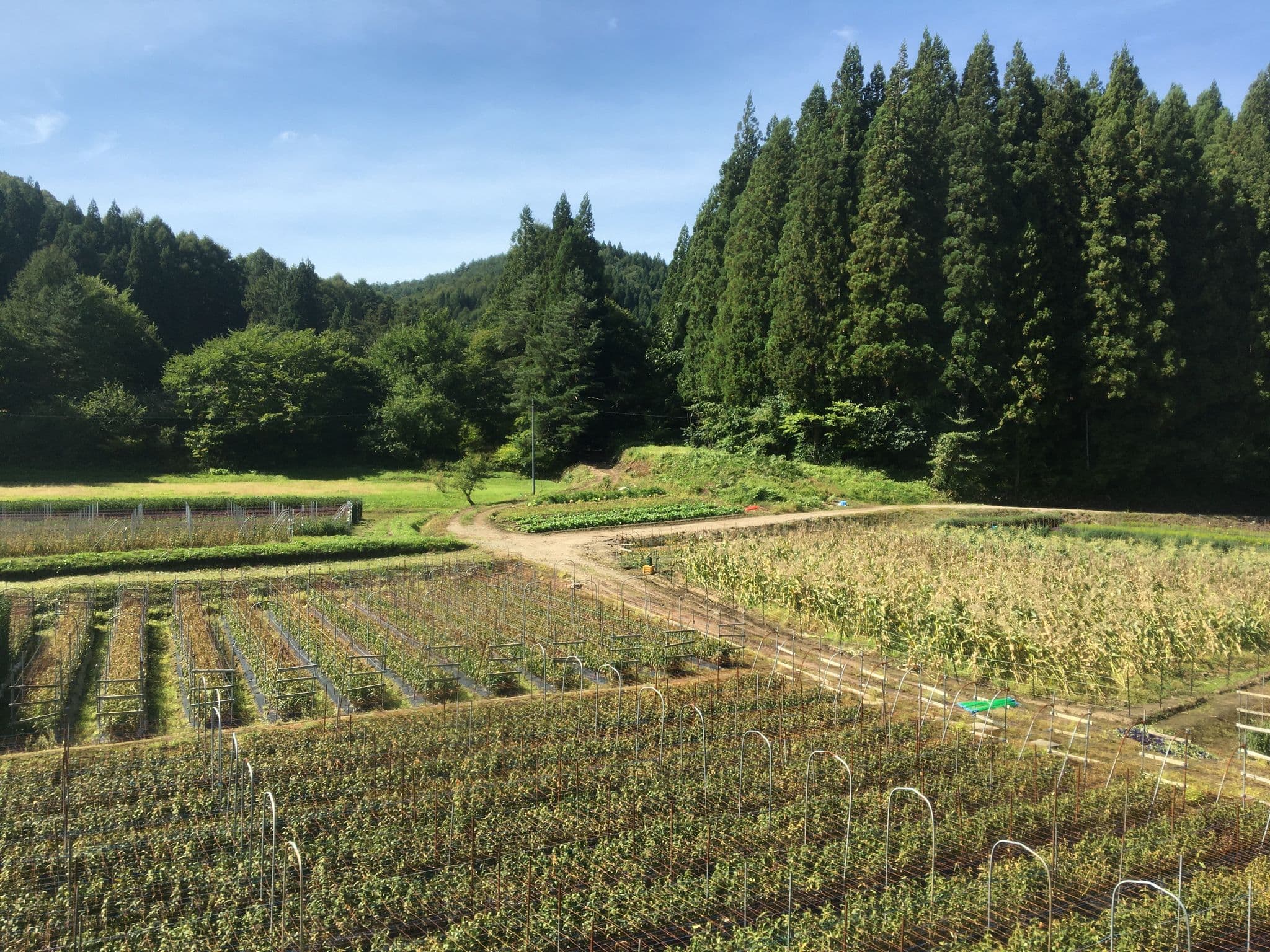 Street view near 安比民宿ラベンダー, Numakunai — © musashino5 (CC BY-SA · Mapillary)