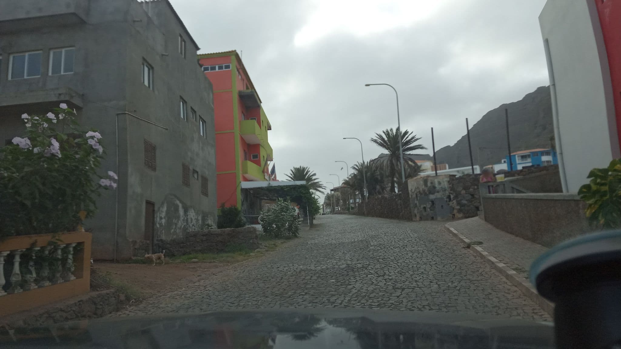 Street view near Residencial Sintanton Trekking, Ponta do Sol — © verdeano (CC BY-SA · Mapillary)