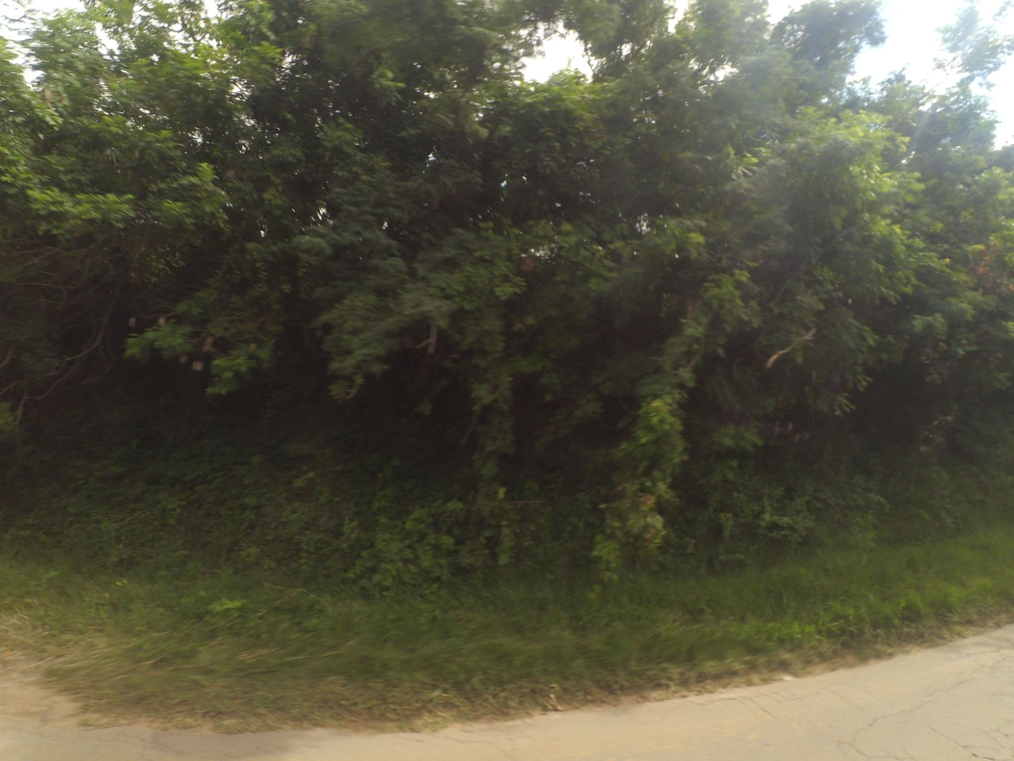 Street view near CABAÑAS SEBASTIAN, Samaipata — © yoviajo (CC BY-SA · Mapillary)