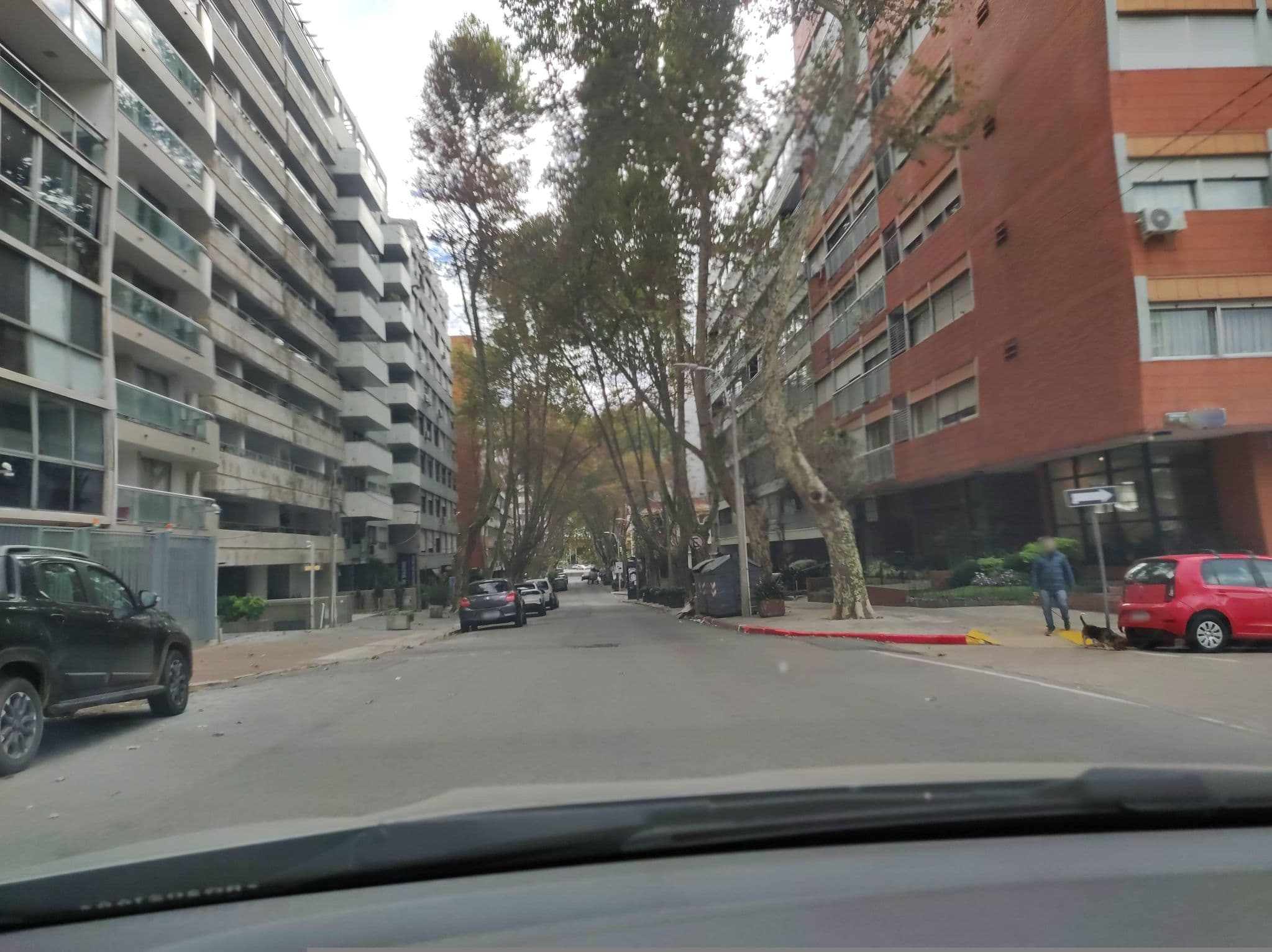 Street view near Palm Springs Hotel, Montevideo — © sirgabouy (CC BY-SA · Mapillary)
