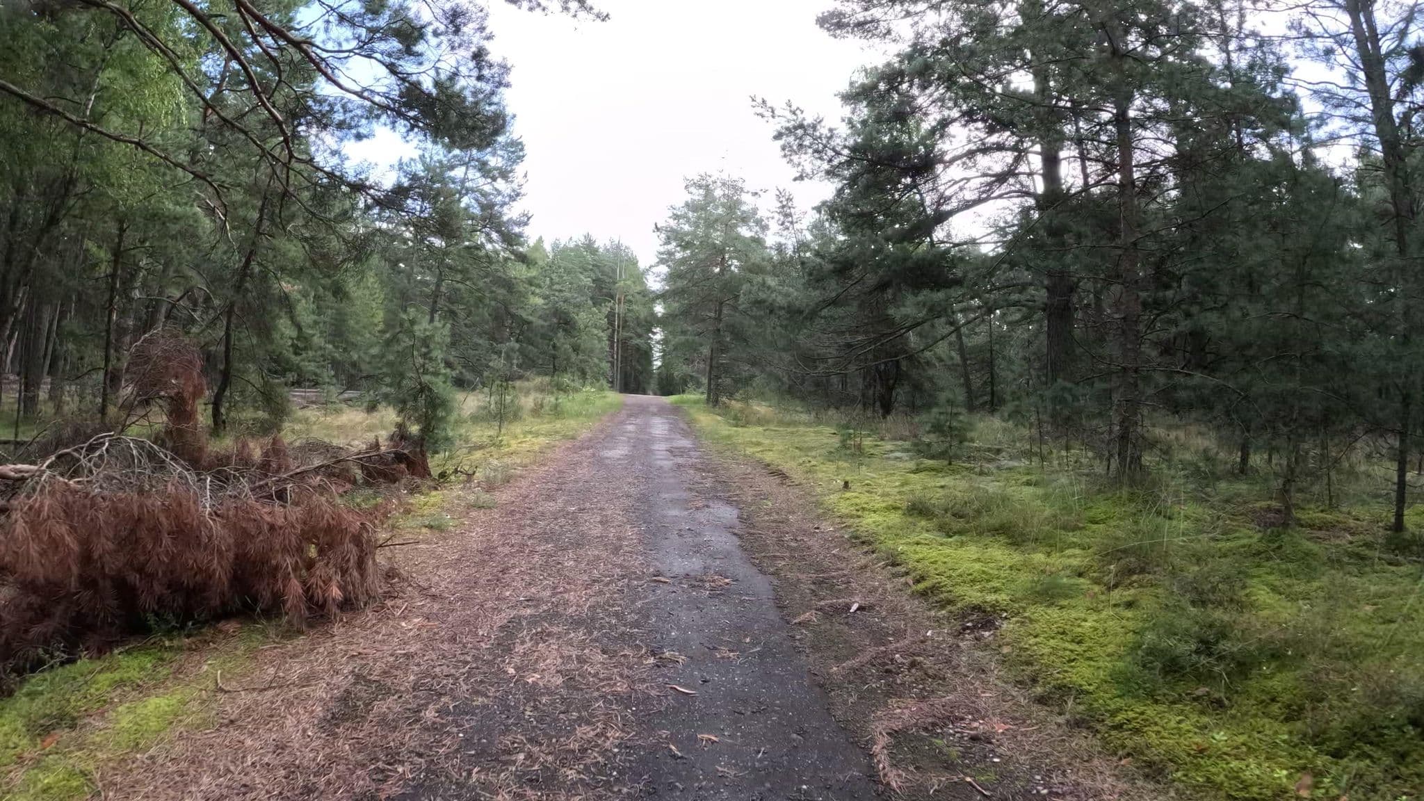Street view near Baldininkas, Pervalka — © fischnchips (CC BY-SA · Mapillary)