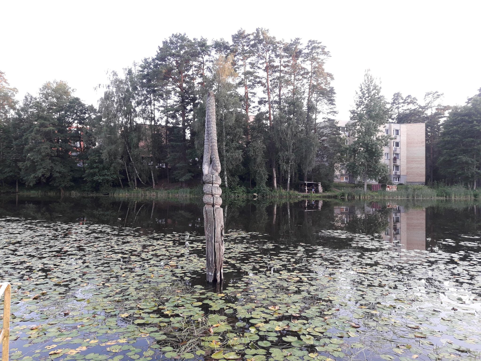 Street view near Medea spa hotel Druskininkai, Druskininkai — © vietoveslt (CC BY-SA · Mapillary)