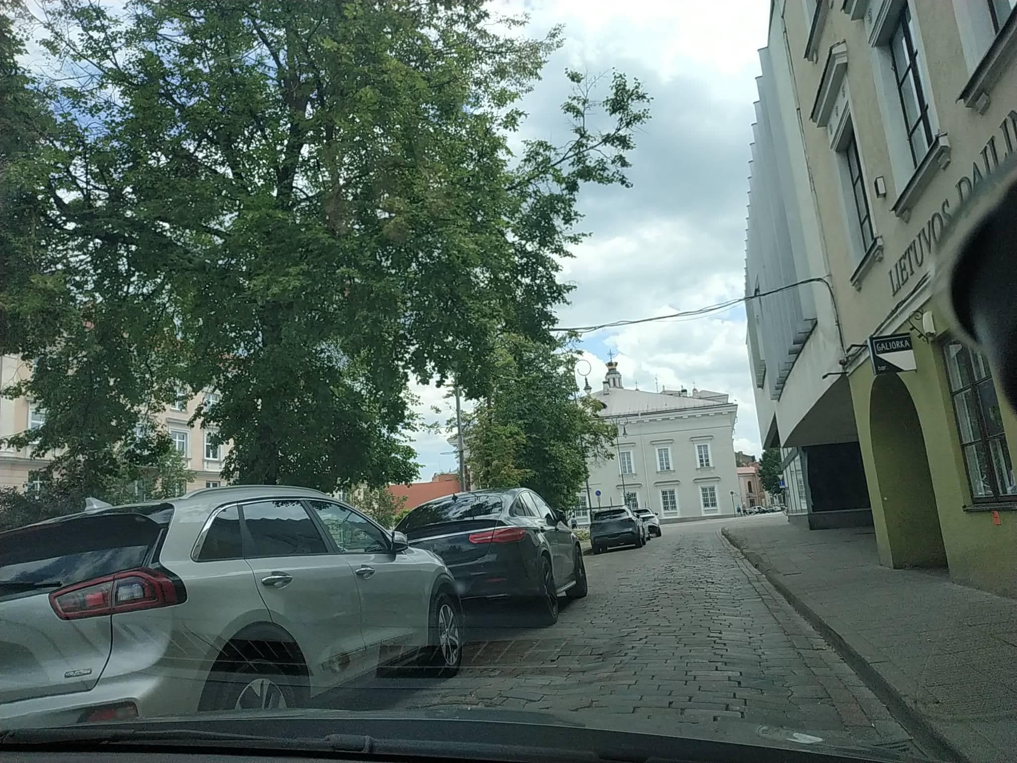 Street view near Smc Viesbutis, Naujamiestis — © laukinisbriedis (CC BY-SA · Mapillary)