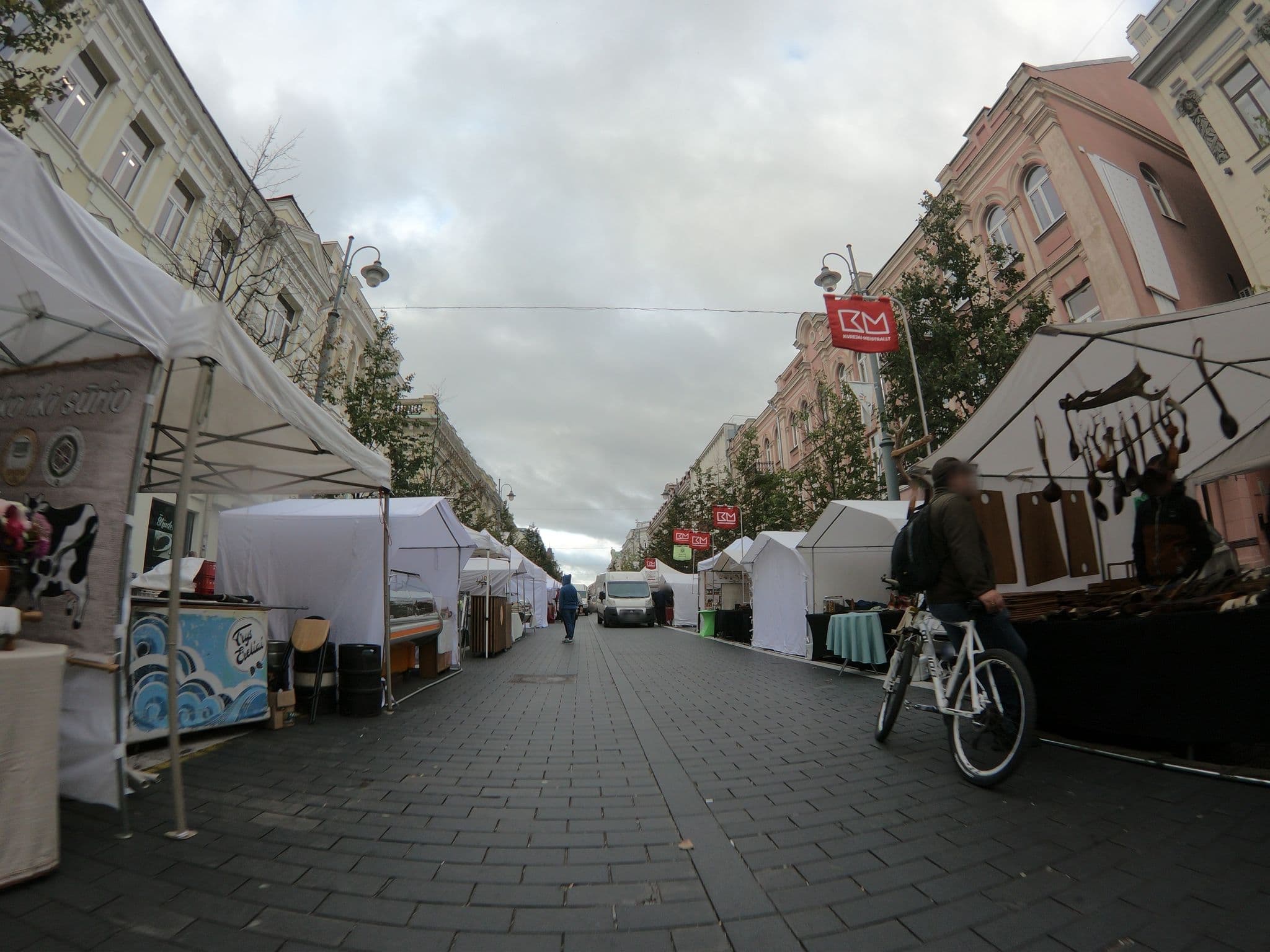 Street view near Backpackers, Vilnius — © mobertas (CC BY-SA · Mapillary)