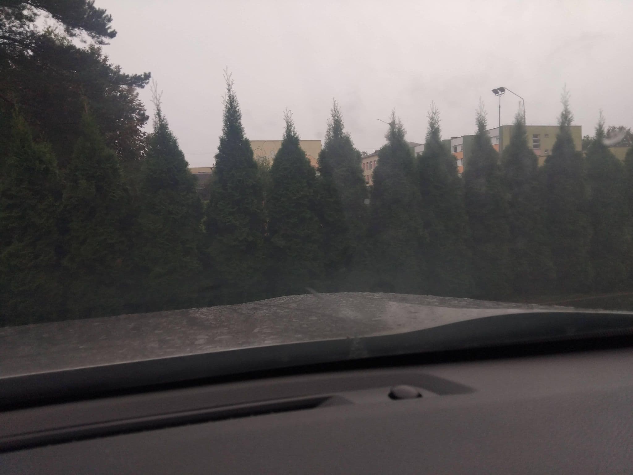 Street view near Hotel Zuvedra Ignalina, Ignalina — © Gintaras_G_Rytu (CC BY-SA · Mapillary)
