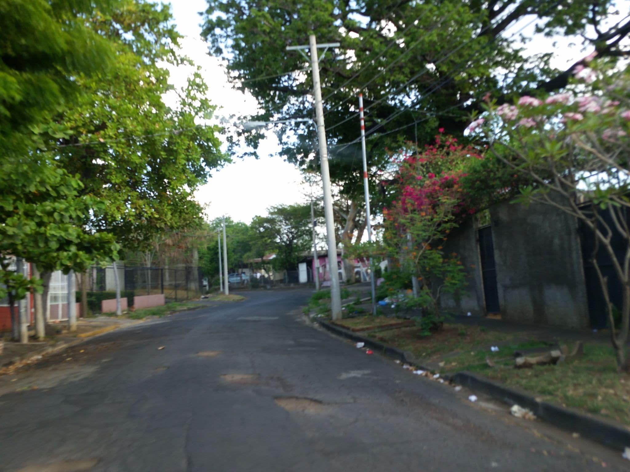 Street view near Hotel La Tora, Managua — © jaakkoh (CC BY-SA · Mapillary)