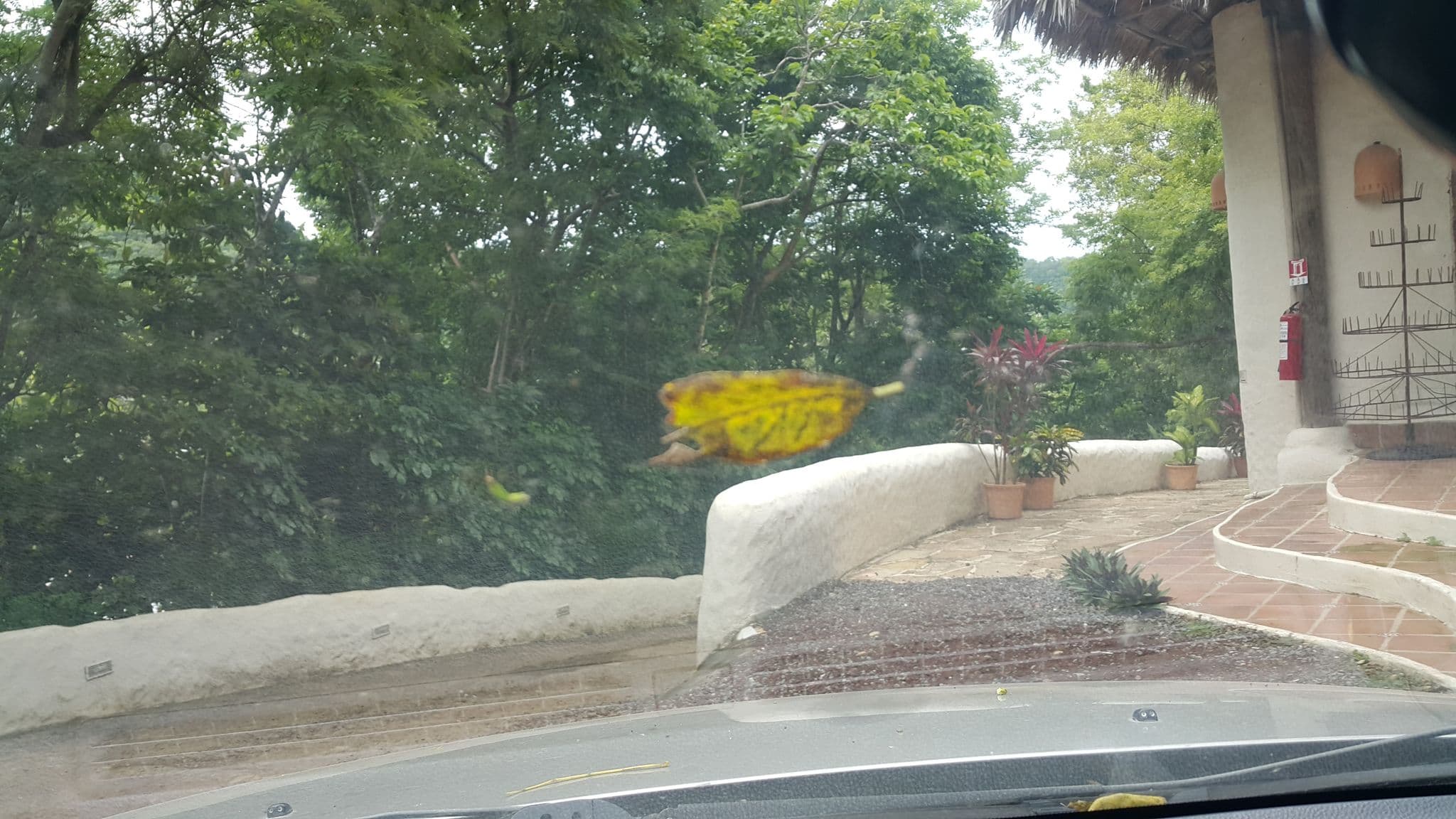 Street view near Aussie Hut, San Juan del Sur — © nadie (CC BY-SA · Mapillary)
