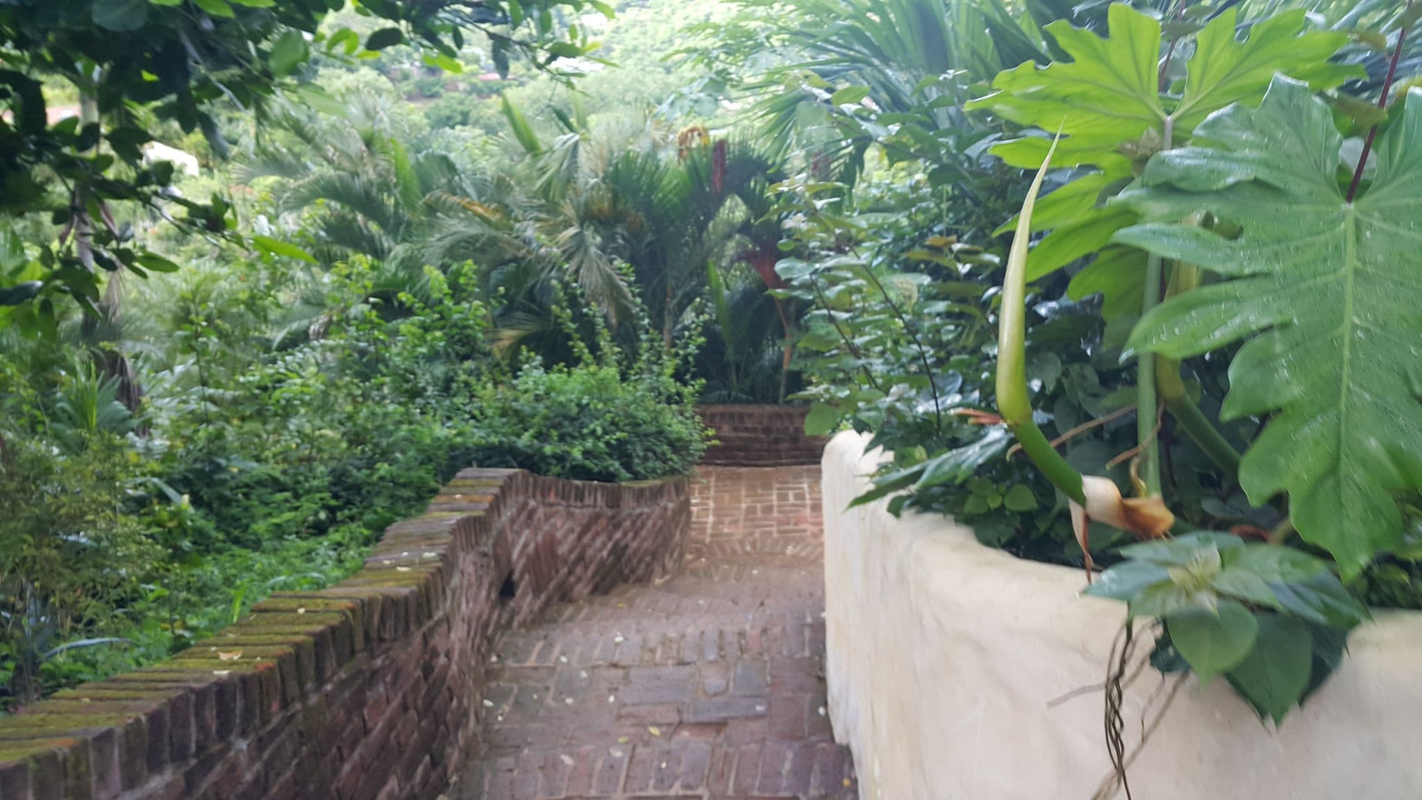 Street view near Piedras Y Olas Resort, San Juan del Sur — © nadie (CC BY-SA · Mapillary)