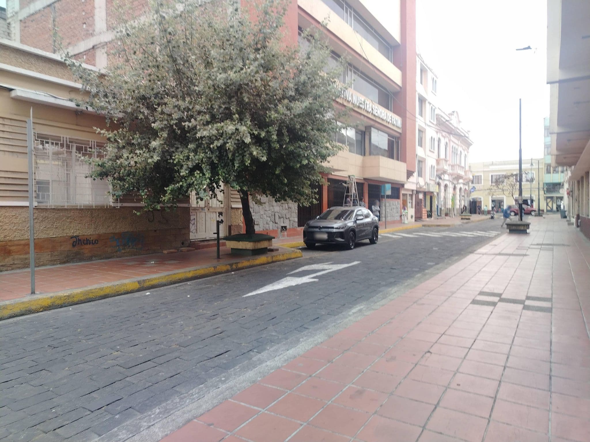 Street view near Hotel "NUESTRA CASA", Riobamba — © Janine_Jimenez (CC BY-SA · Mapillary)