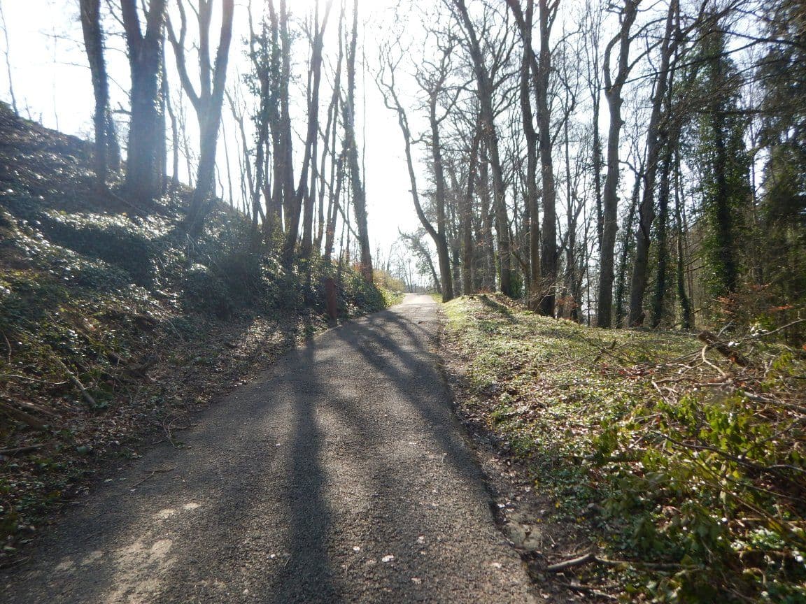 Street view near Hôtel Bon Repos & Le Restaurant Grill, Consdorf — © sarant (CC BY-SA · Mapillary)