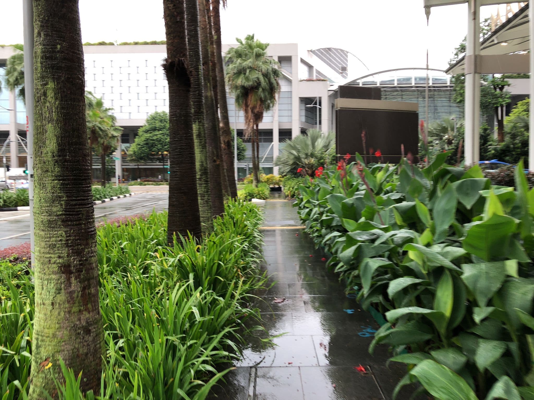 Street view near Tower 1 Marina Bay Sands Hotel, Marina Bay — © whywhyd (CC BY-SA · Mapillary)