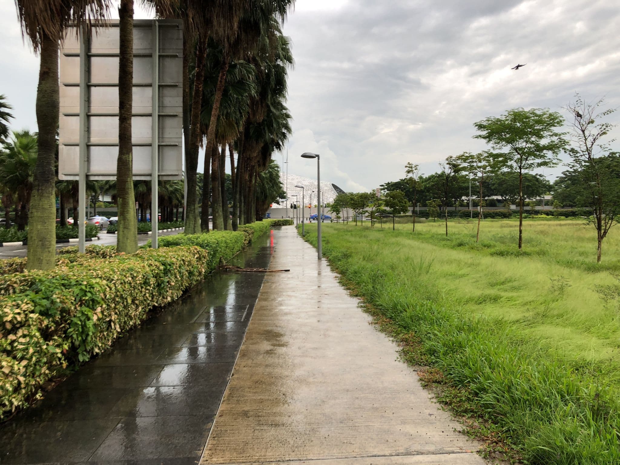 Street view near Orchid Club, Marina Bay — © whywhyd (CC BY-SA · Mapillary)