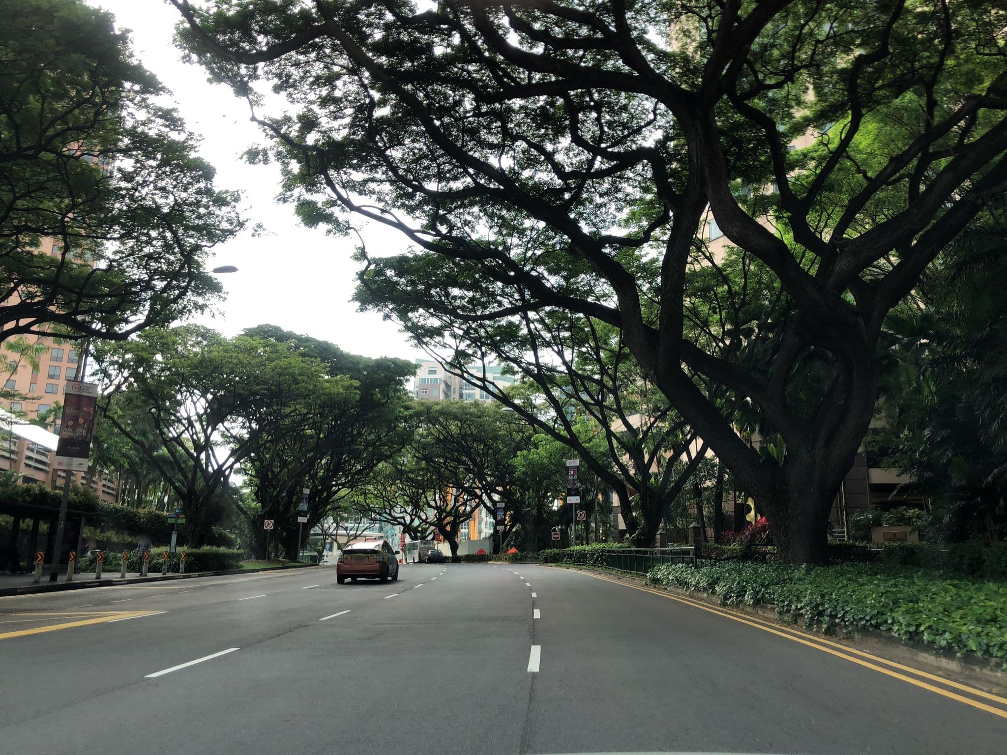 Street view near Growler 2.0 Abode_Four Seasons Hotel, One Tree Hill — © whywhyd (CC BY-SA · Mapillary)