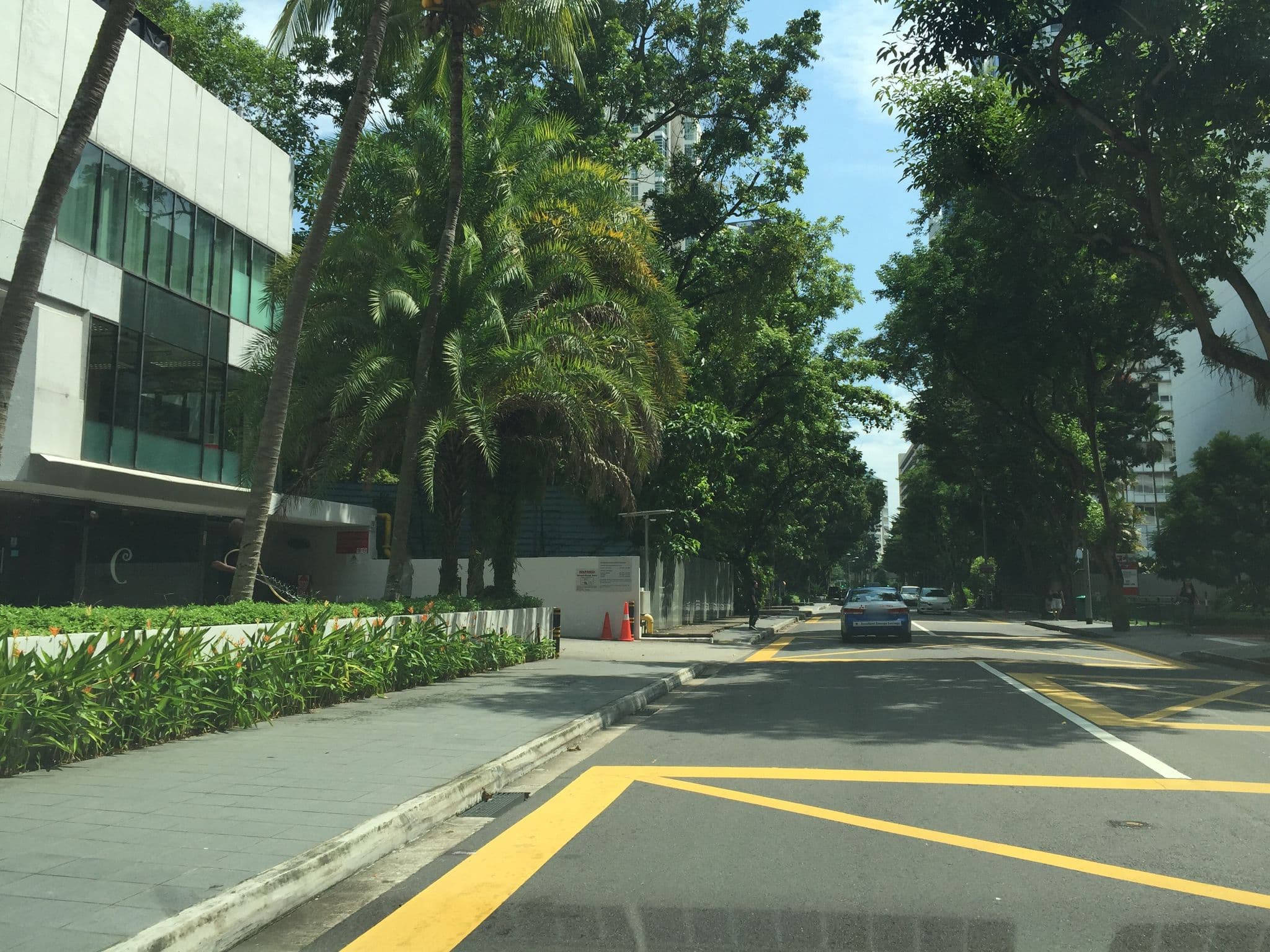 Street view near 1204, One Tree Hill — © denkonstigaasiaten (CC BY-SA · Mapillary)