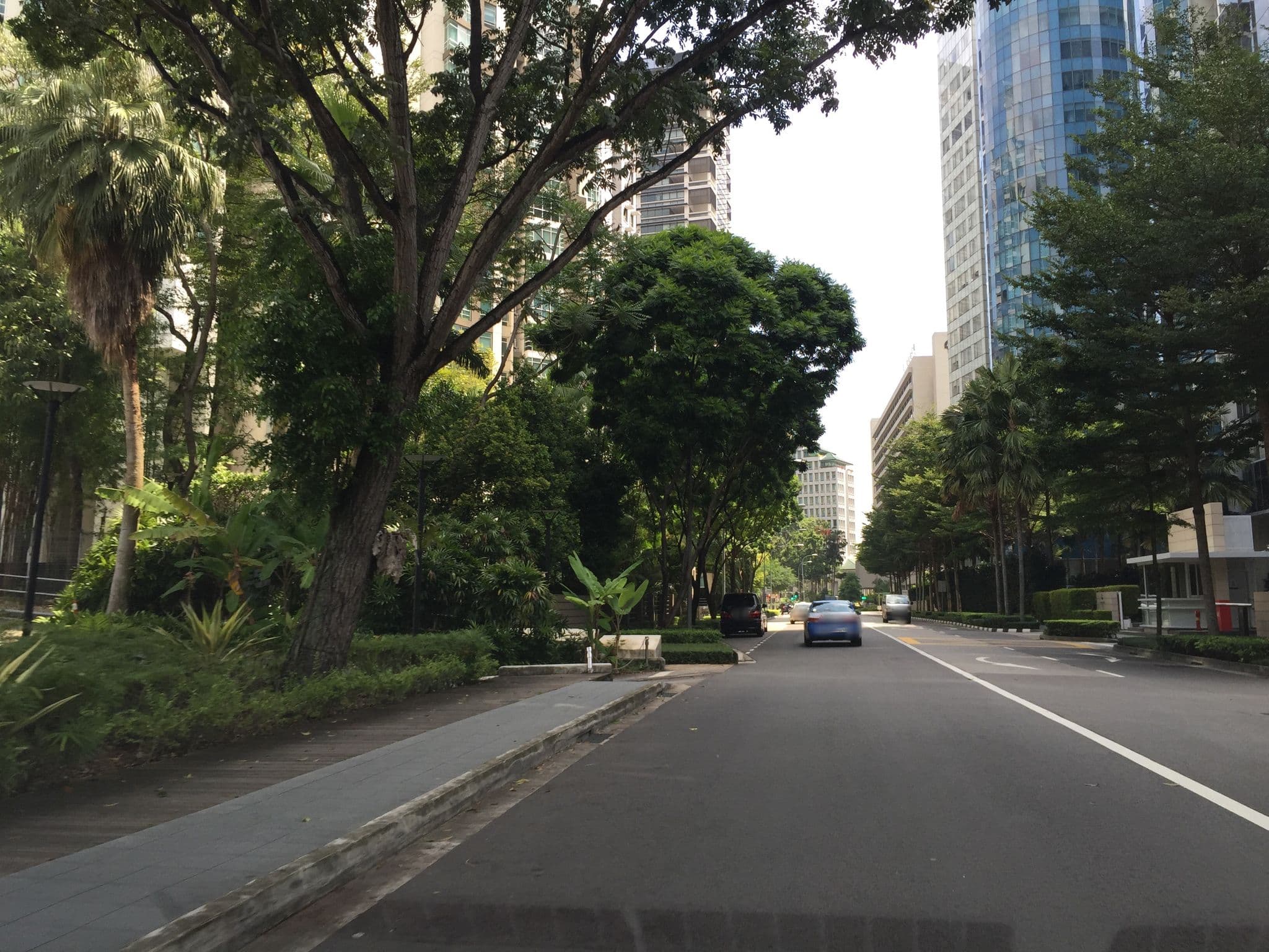 Street view near Fcc Of St Regis, One Tree Hill — © denkonstigaasiaten (CC BY-SA · Mapillary)