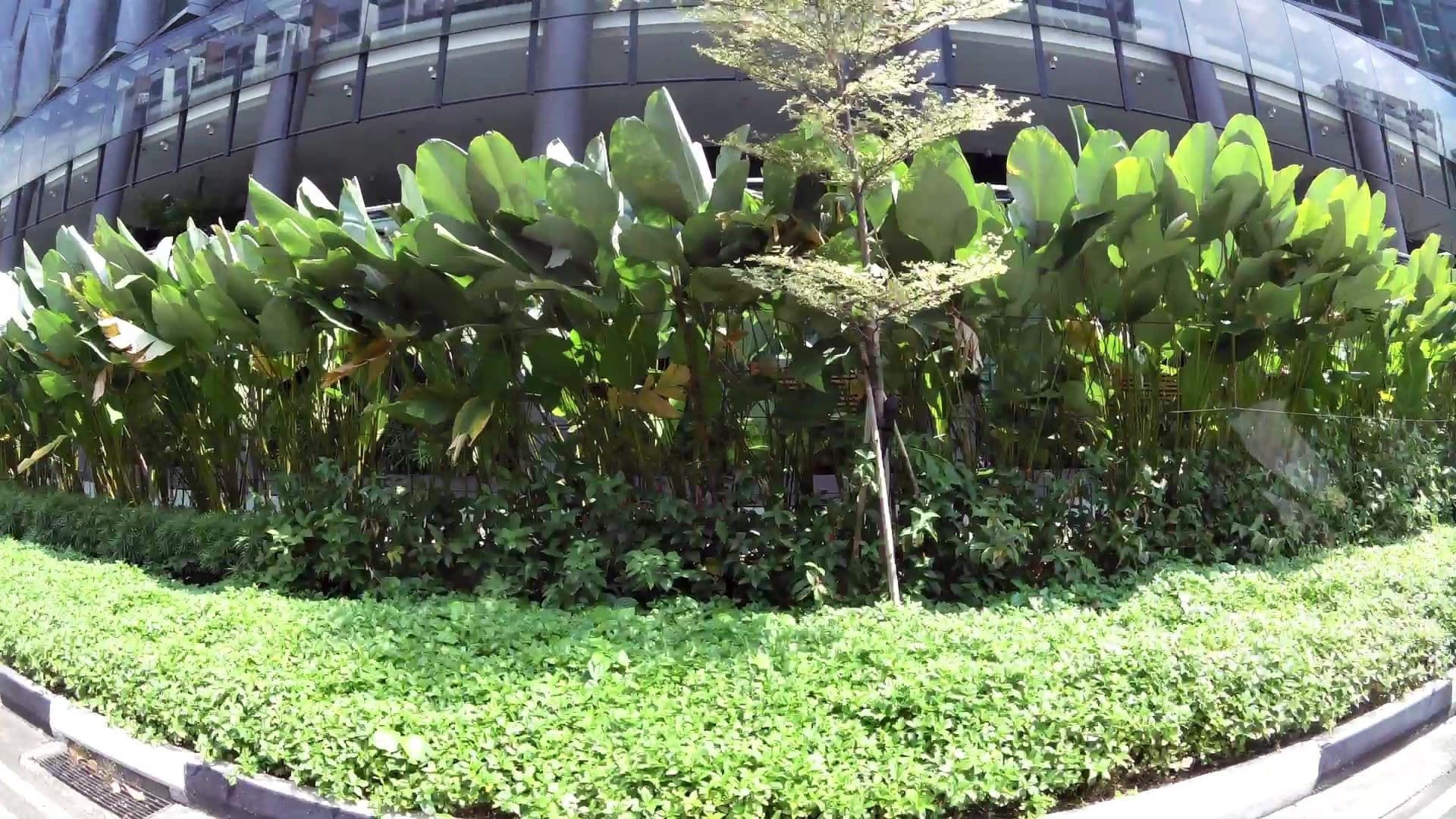 Street view near Holiday Inn Express Singapore Clarke Quay, Outram Park — © kaartcam (CC BY-SA · Mapillary)