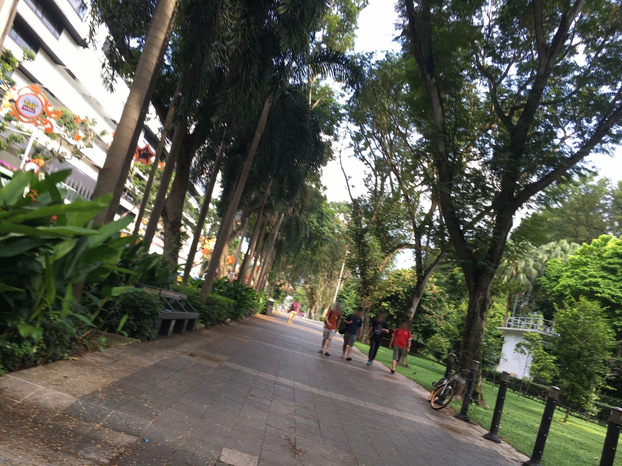 Street view near In Trim @ Concorde Hotel, Oxley — © kaeyyy (CC BY-SA · Mapillary)