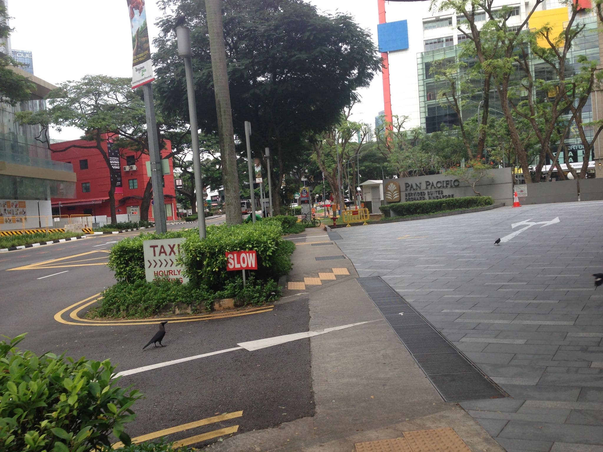Street view near Pan Pacific Serviced Suites, Oxley — © raymyat (CC BY-SA · Mapillary)