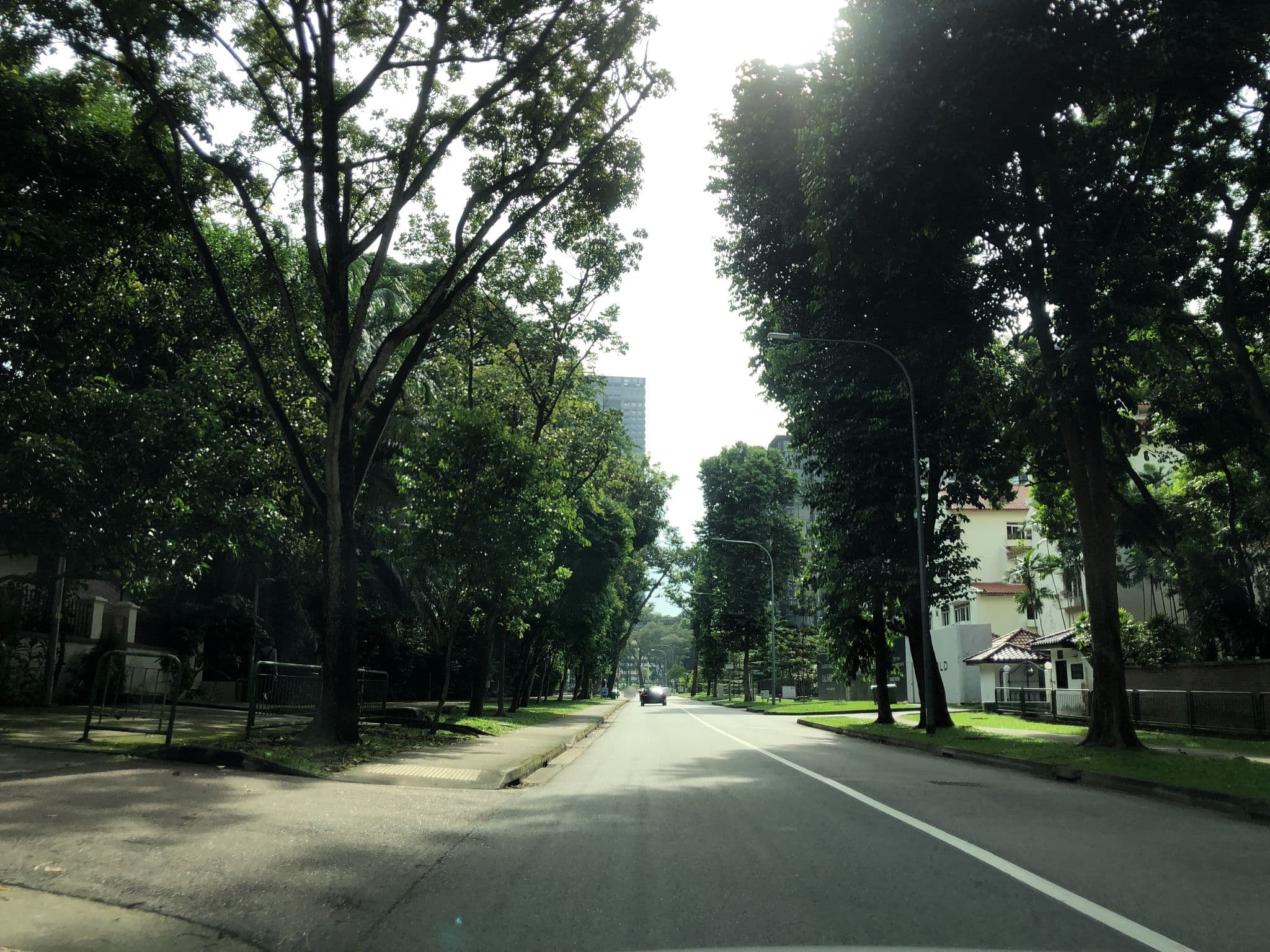 Street view near Balmoral Lodge, Newton — © whywhyd (CC BY-SA · Mapillary)