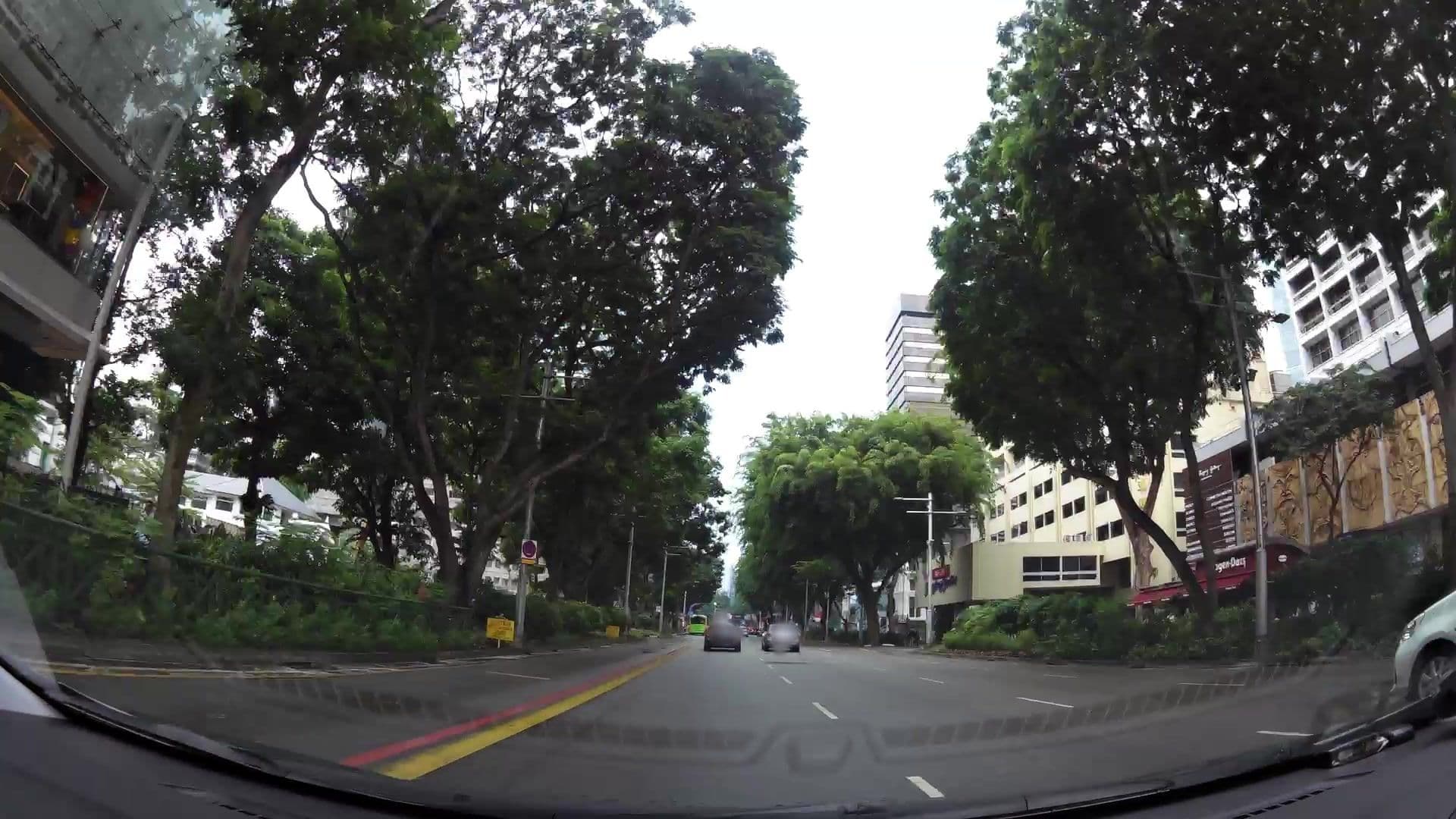 Street view near Wedding Of Alan & Belinda, One Tree Hill — © kaartcam (CC BY-SA · Mapillary)