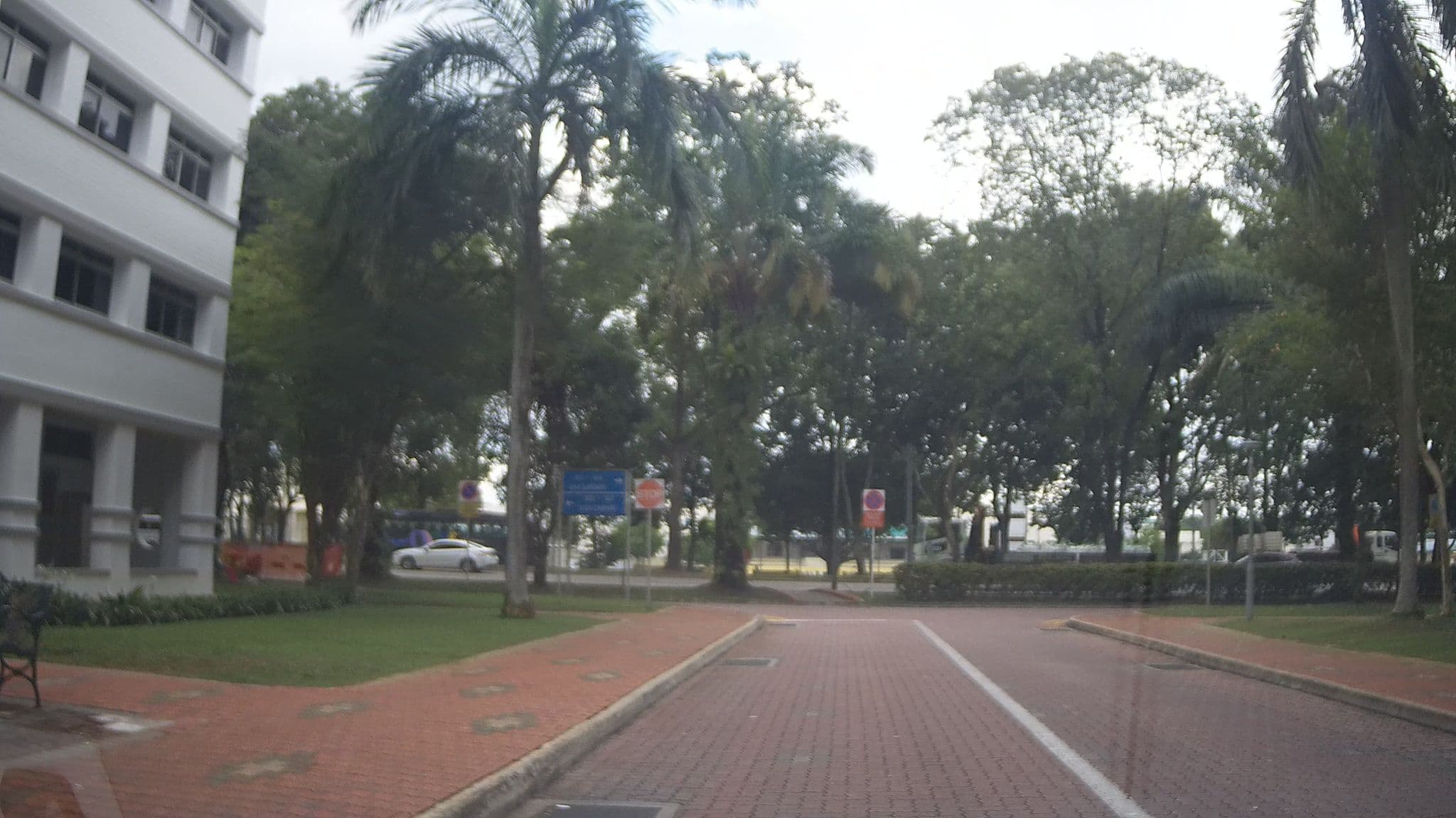 Street view near Hazel's Tilam, Yew Tee — © ashishgrab (CC BY-SA · Mapillary)