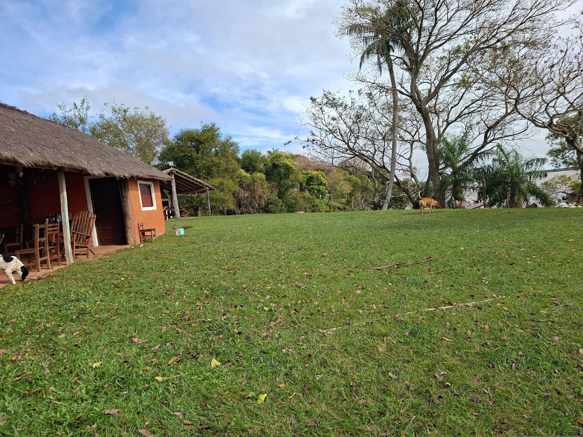 Street view near Terrazas de Paraná, Itatí — © diegokrein (CC BY-SA · Mapillary)