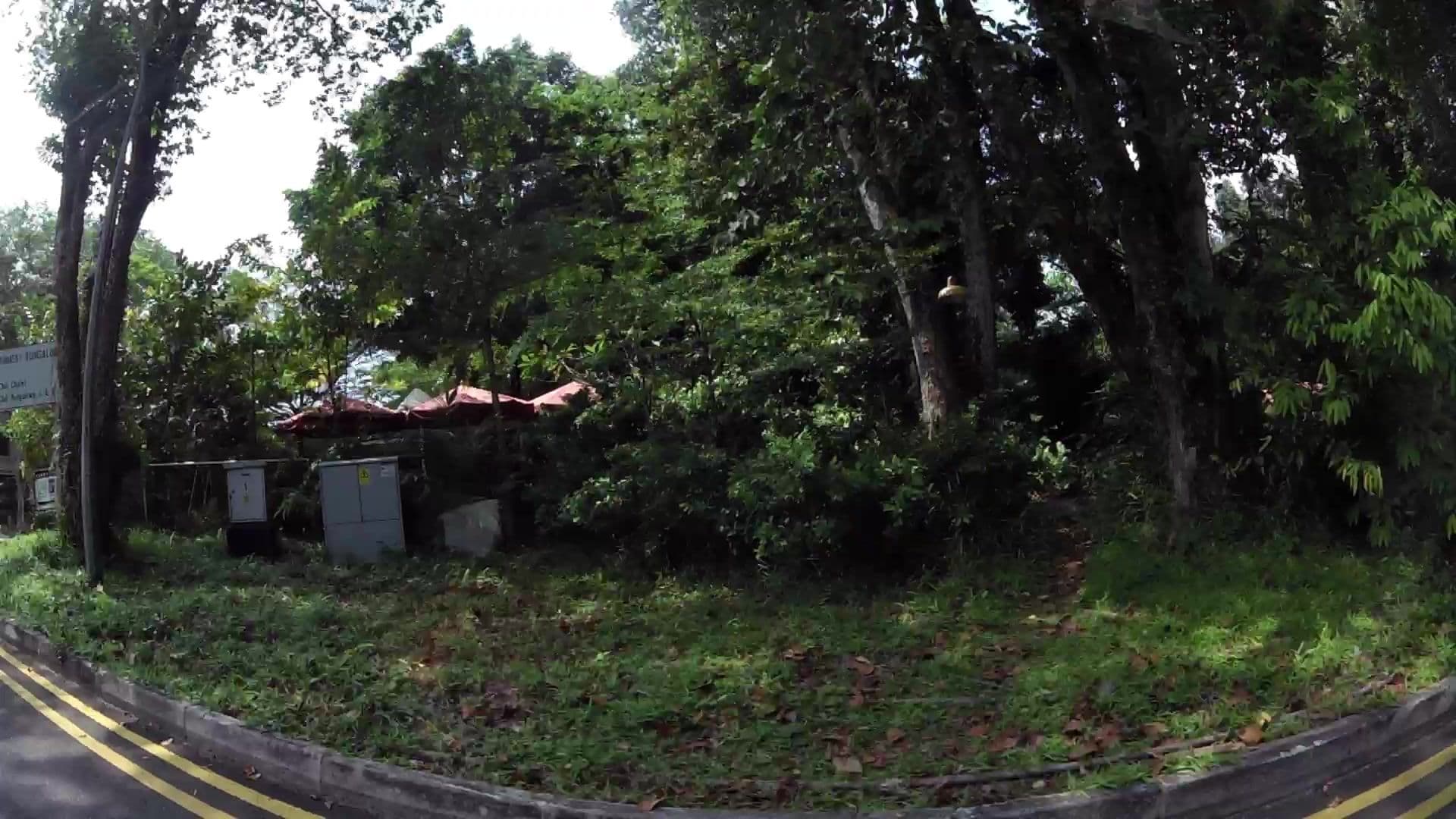 Street view near 317 Leuchars Road, Changi Village — © kaartcam (CC BY-SA · Mapillary)