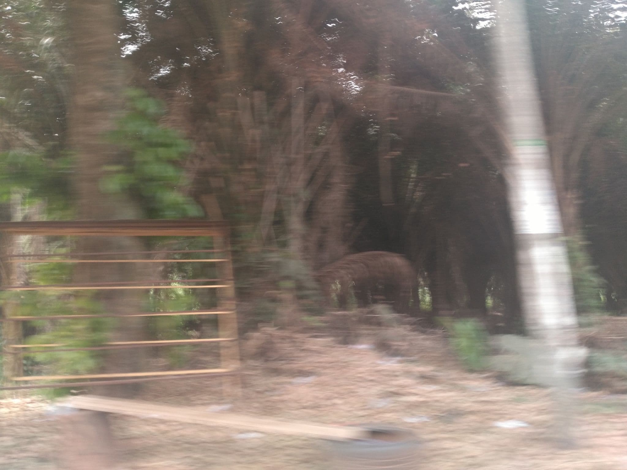 Street view near Lizzie's Hotel, Kumasi — © ralebipim (CC BY-SA · Mapillary)