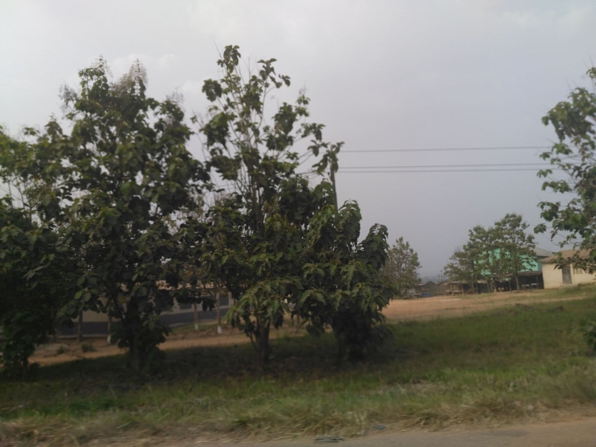 Street view near Silicon hotel, New Tafo — © ralebipim (CC BY-SA · Mapillary)