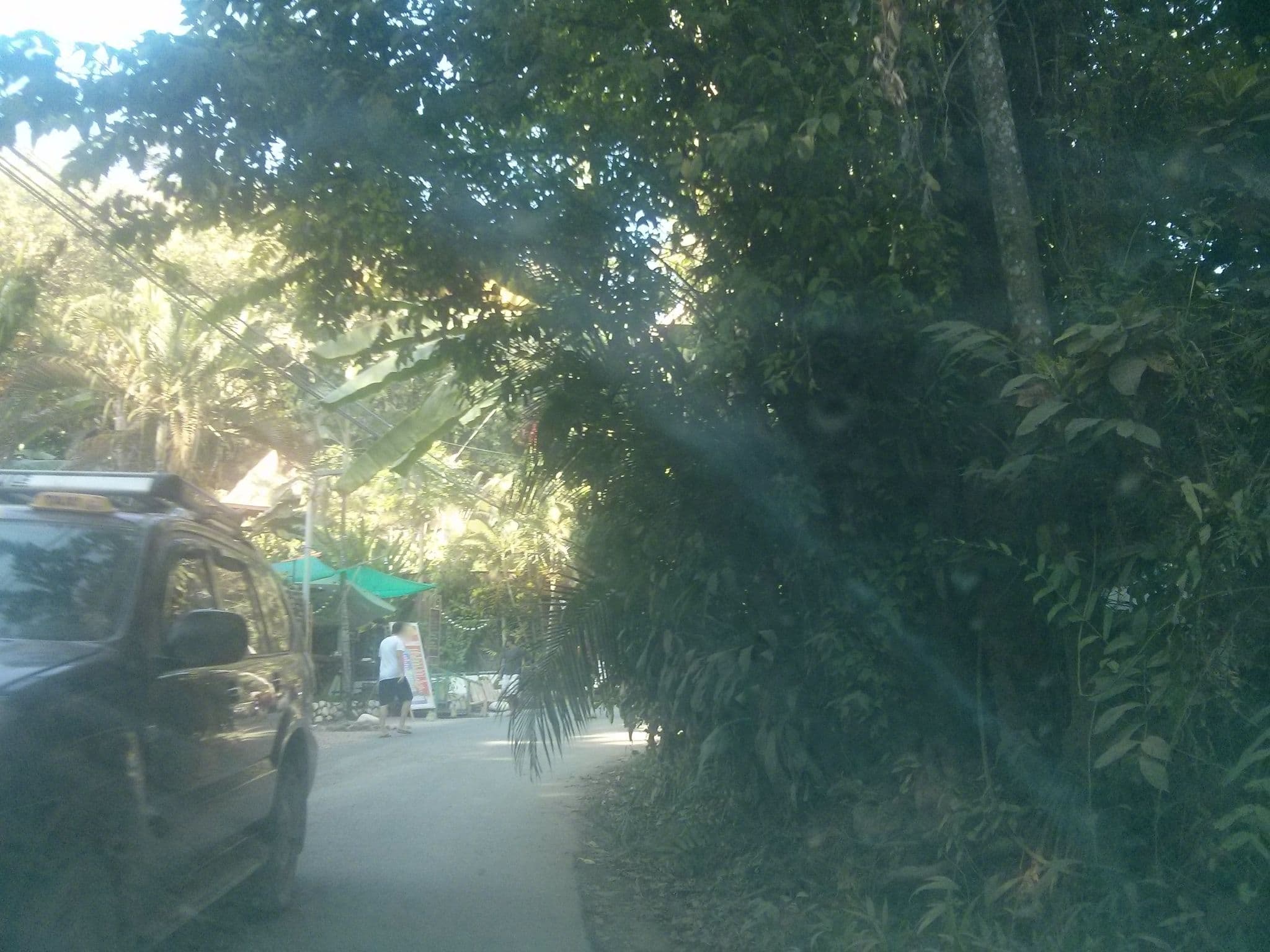 Street view near Pension Jenny, Paquera — © elopio (CC BY-SA · Mapillary)