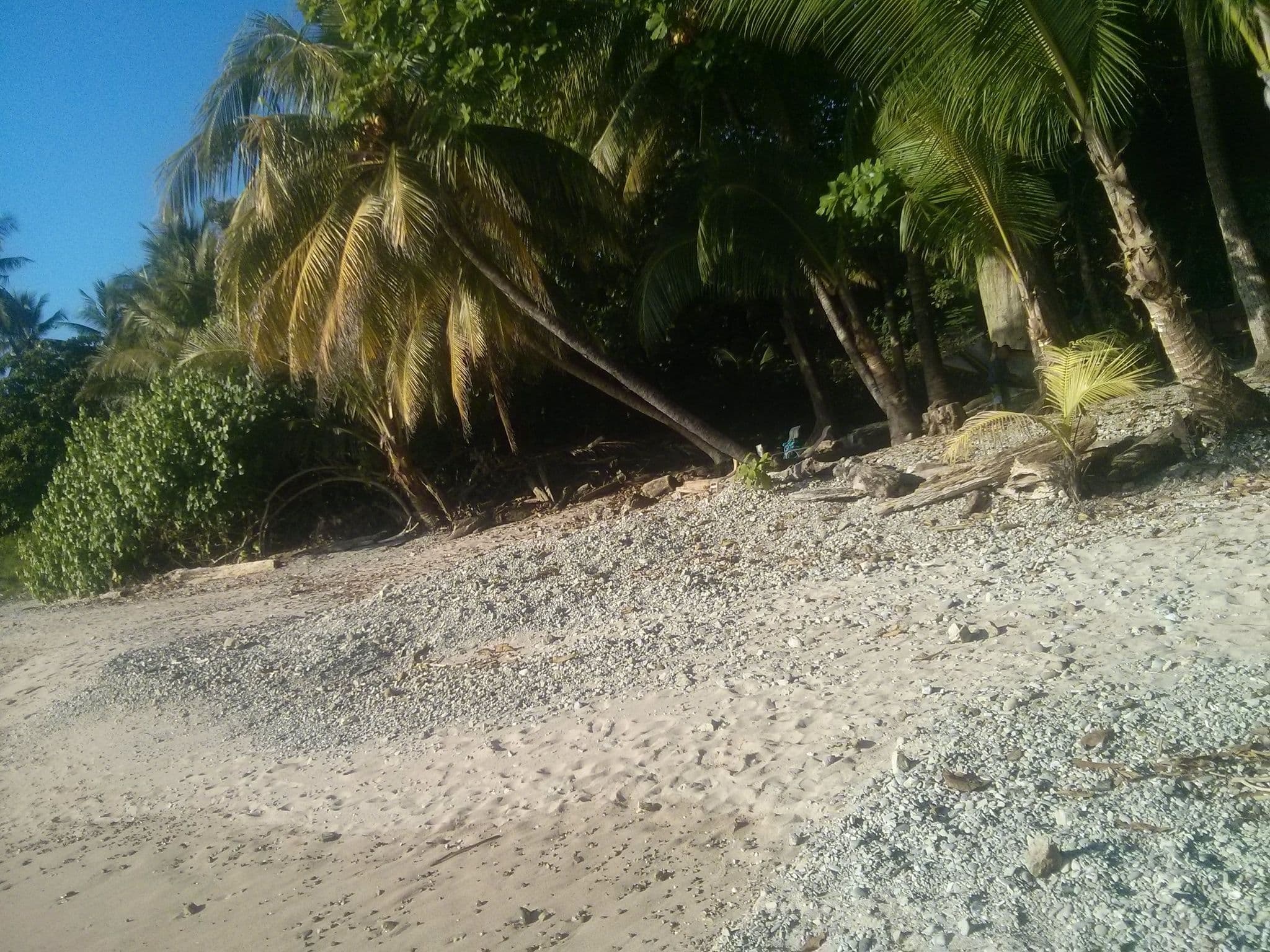 Street view near Hotel Las Caracolas, Paquera — © elopio (CC BY-SA · Mapillary)