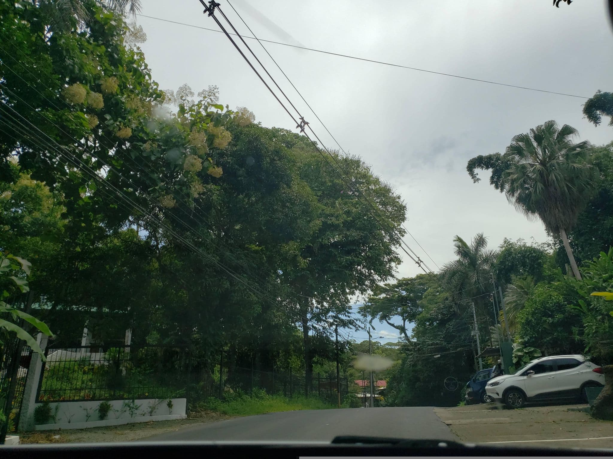Street view near Boscomare Villa, Quepos — © guyutetube (CC BY-SA · Mapillary)