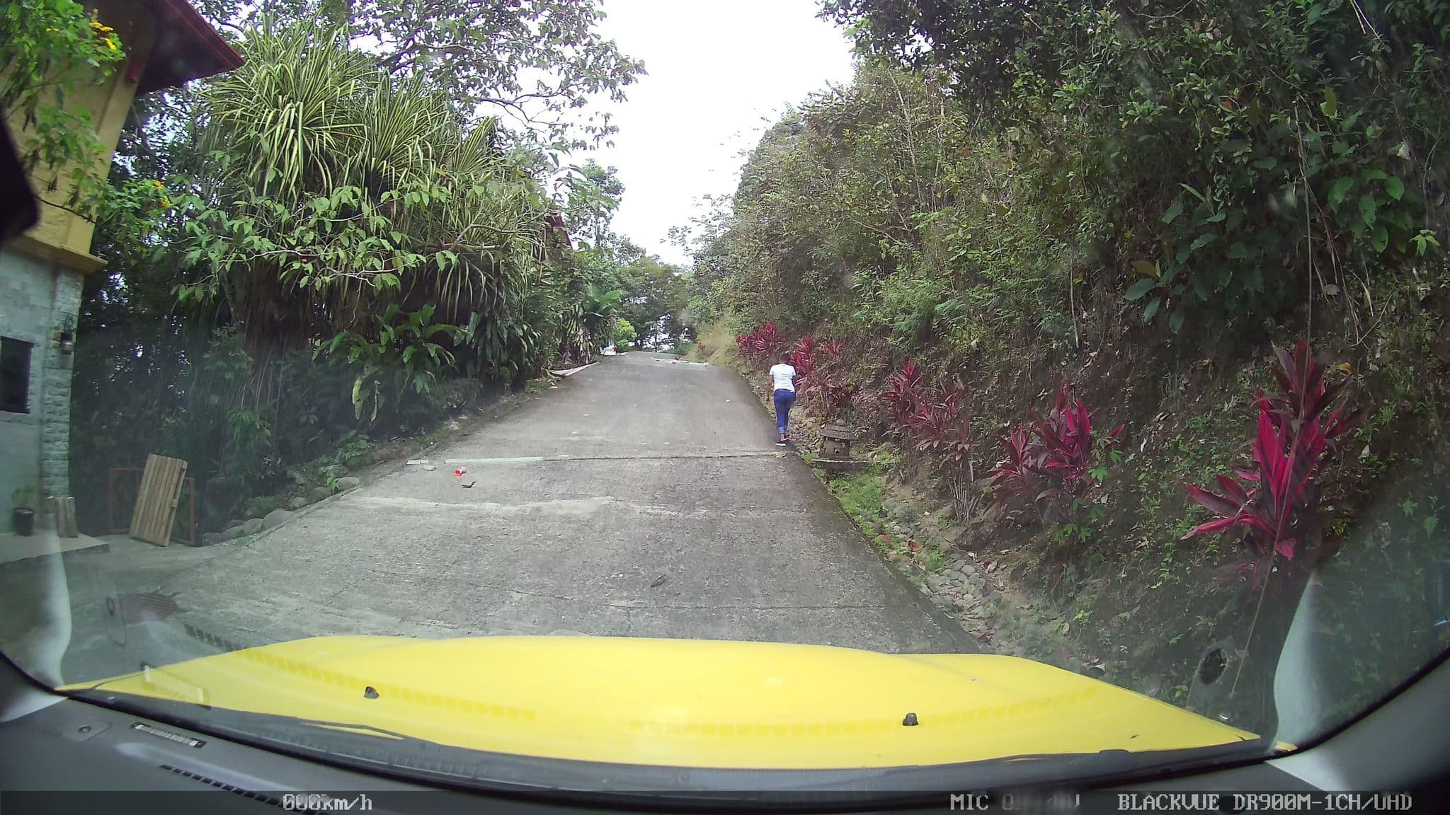 Street view near Villa Jacana, Quepos — © josealb (CC BY-SA · Mapillary)