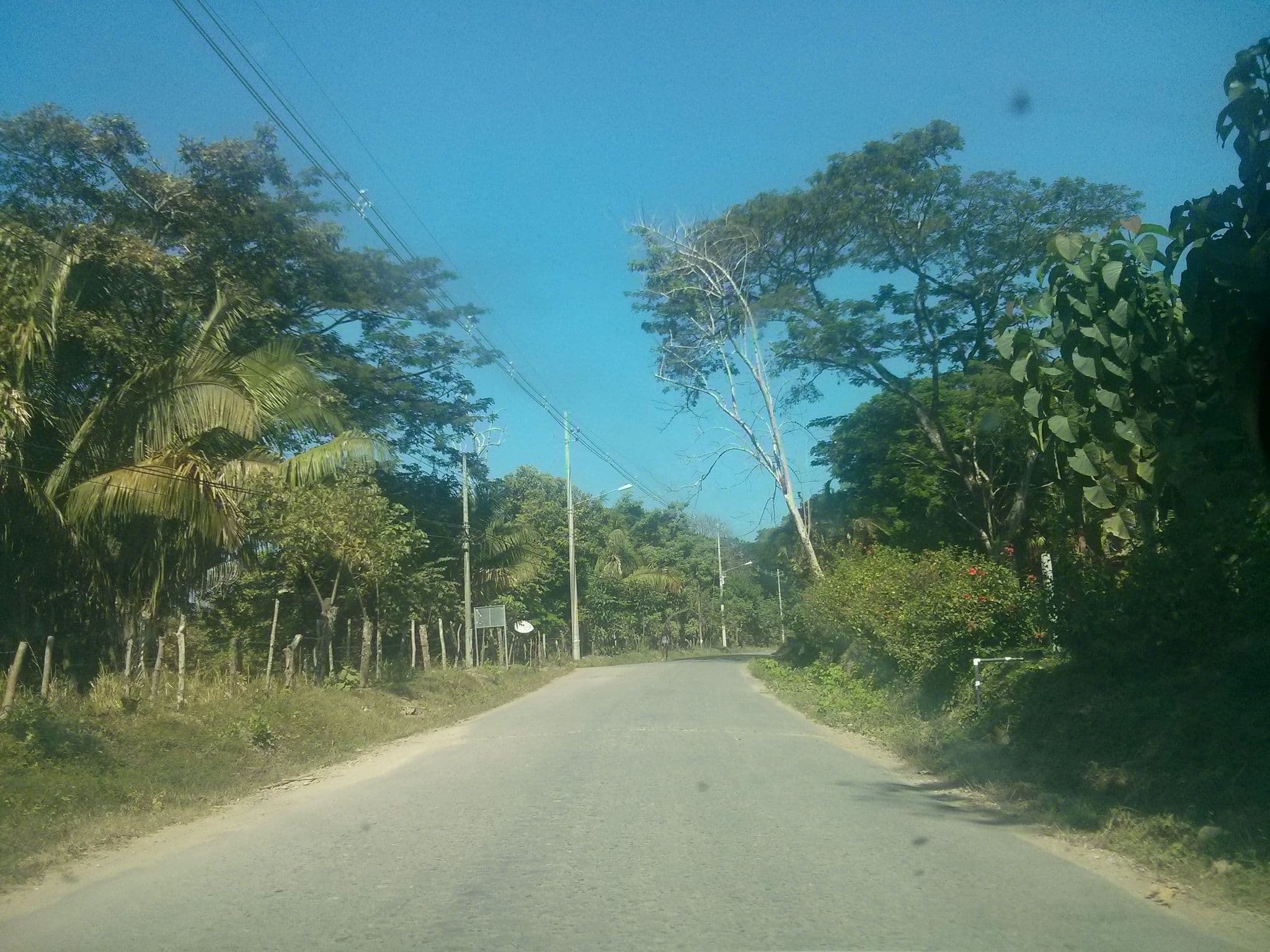 Street view near Shark Town, Paquera — © elopio (CC BY-SA · Mapillary)