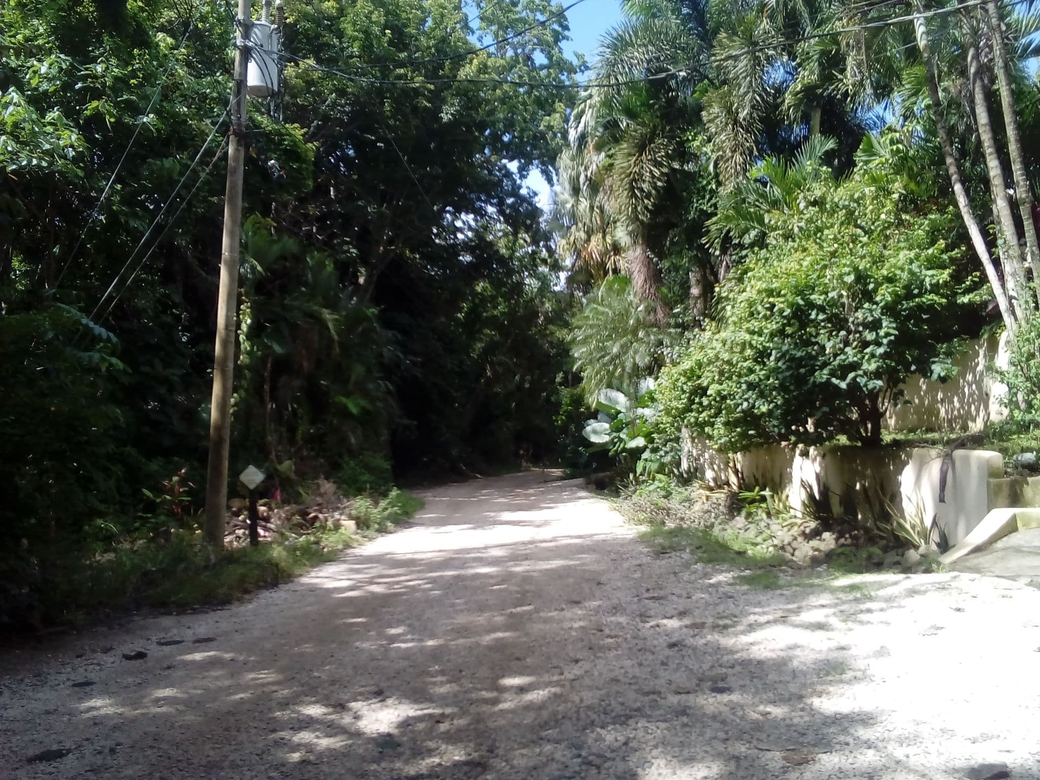 Street view near Casa Vitality, Sámara — © elopio (CC BY-SA · Mapillary)