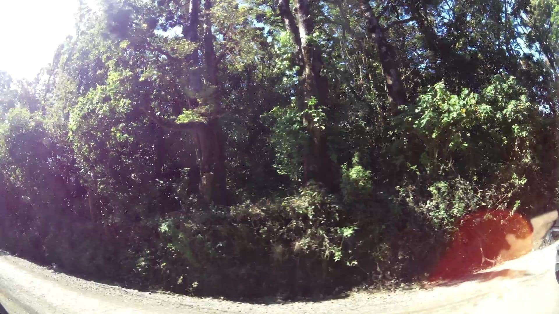 Street view near Tytira Lodge, Juntas — © kaartcam (CC BY-SA · Mapillary)