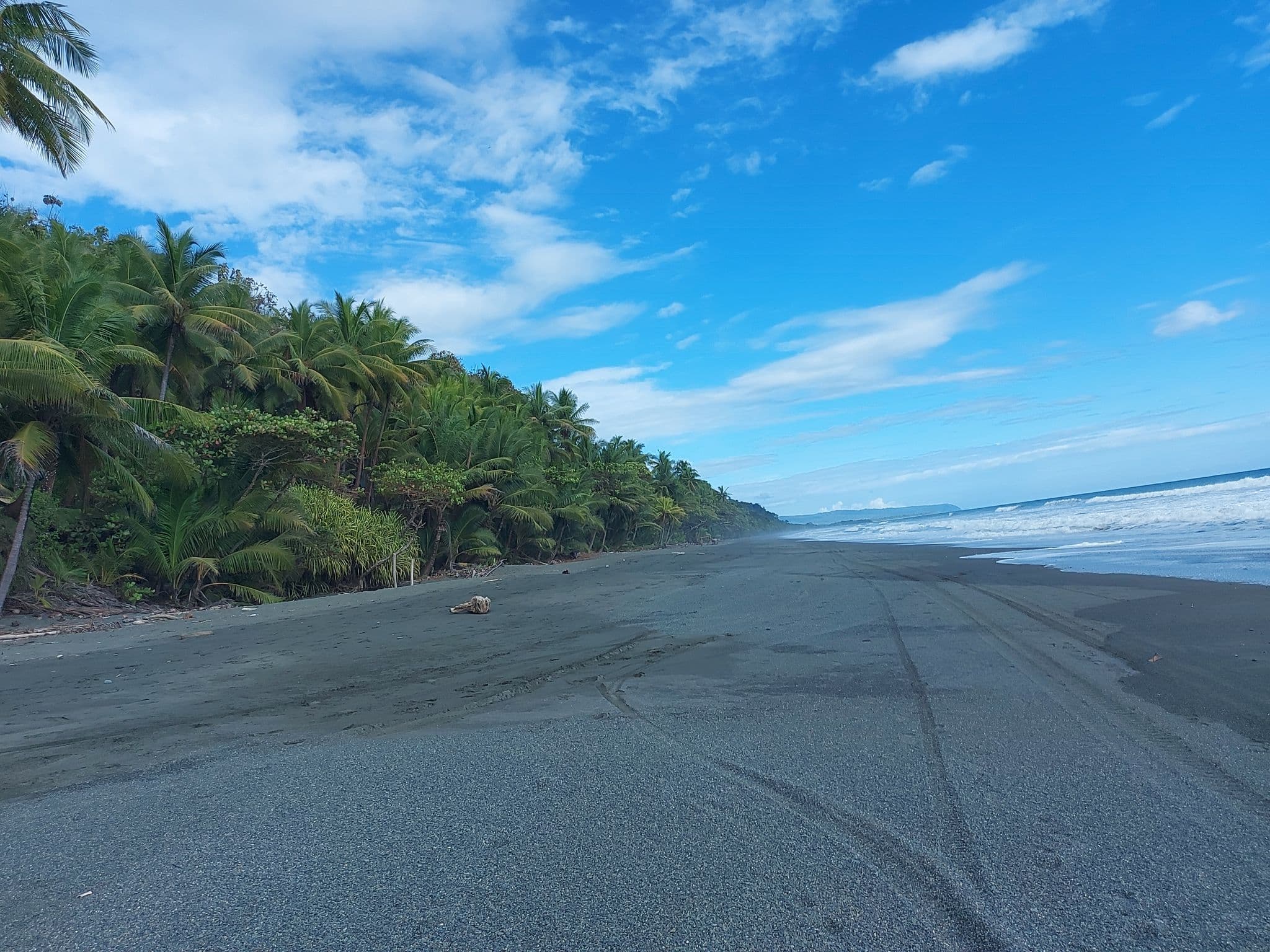 Street view near La Leona Ecolodge, Golfito — © elopio (CC BY-SA · Mapillary)
