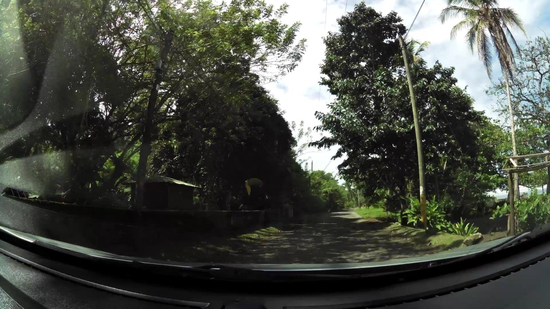 Street view near Cabinas Nirvana Ecolodge, Limón — © kaartcam (CC BY-SA · Mapillary)