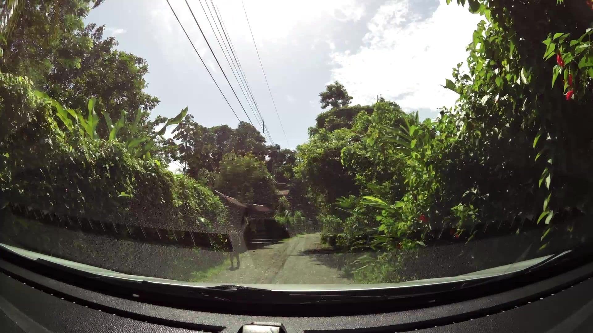 Street view near Centro Turistico Brigitte, Limón — © kaartcam (CC BY-SA · Mapillary)