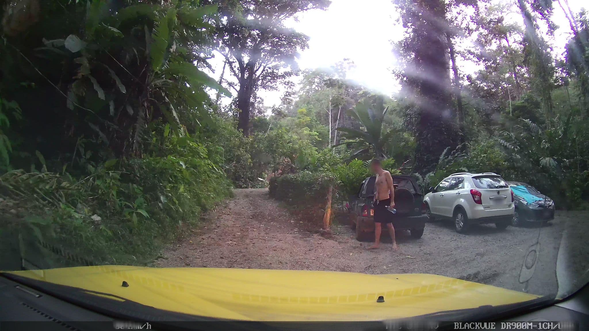 Street view near Jungle Green House, Sixaola — © josealb (CC BY-SA · Mapillary)