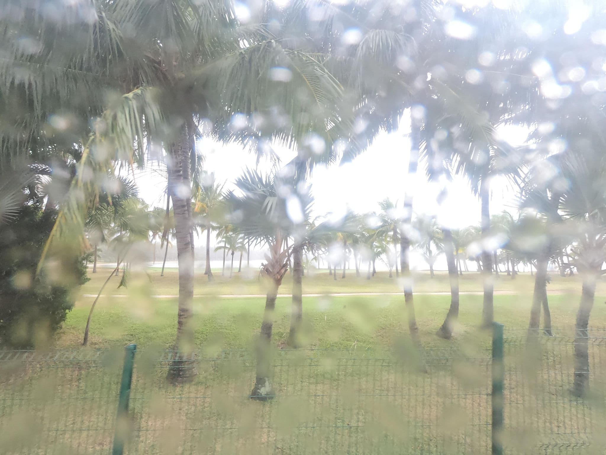Street view near PikPik Studio, Petite Case Noyale — © filohipo (CC BY-SA · Mapillary)