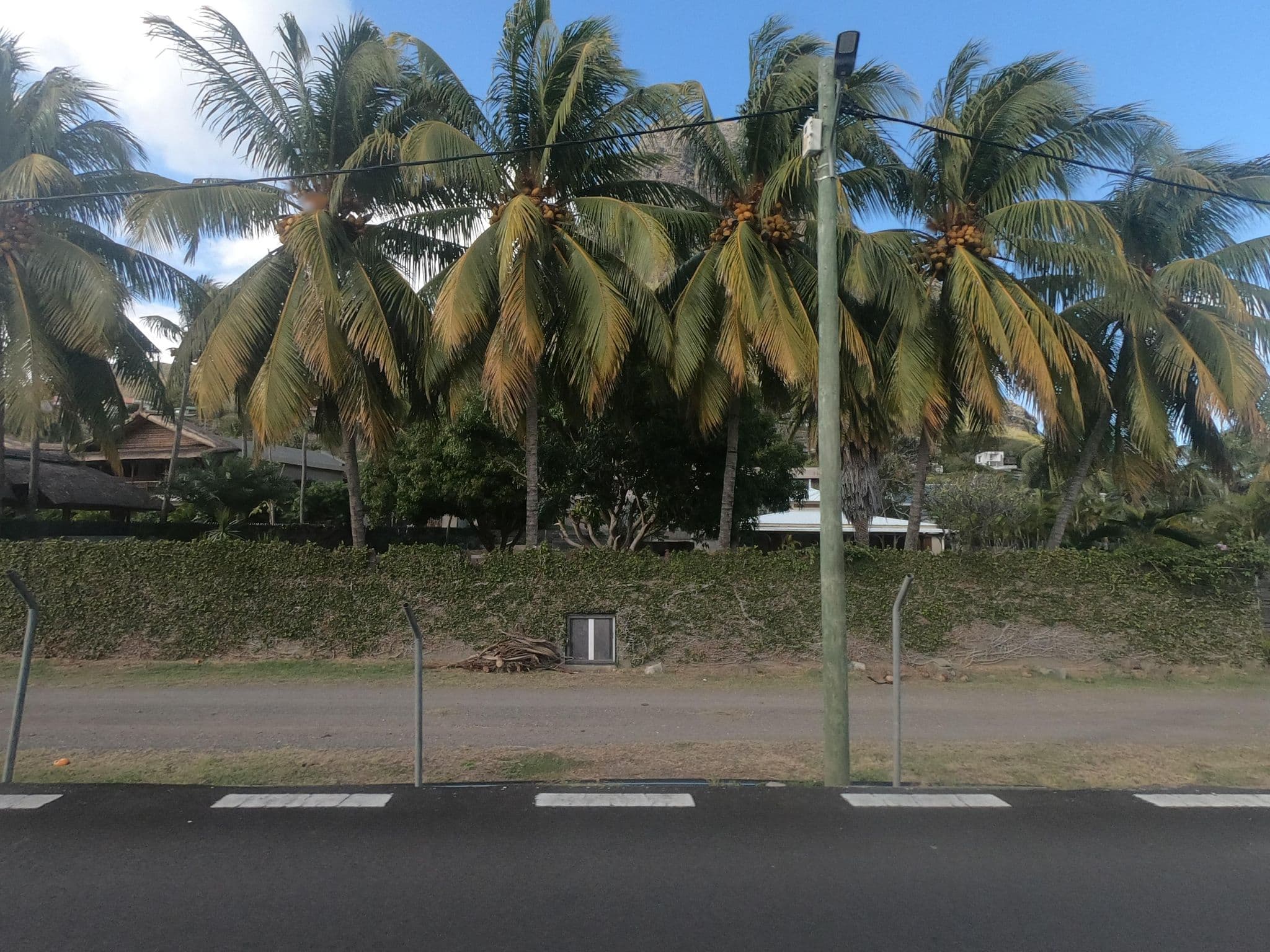 Street view near Villa Trochetia, Petite Case Noyale — © filohipo (CC BY-SA · Mapillary)