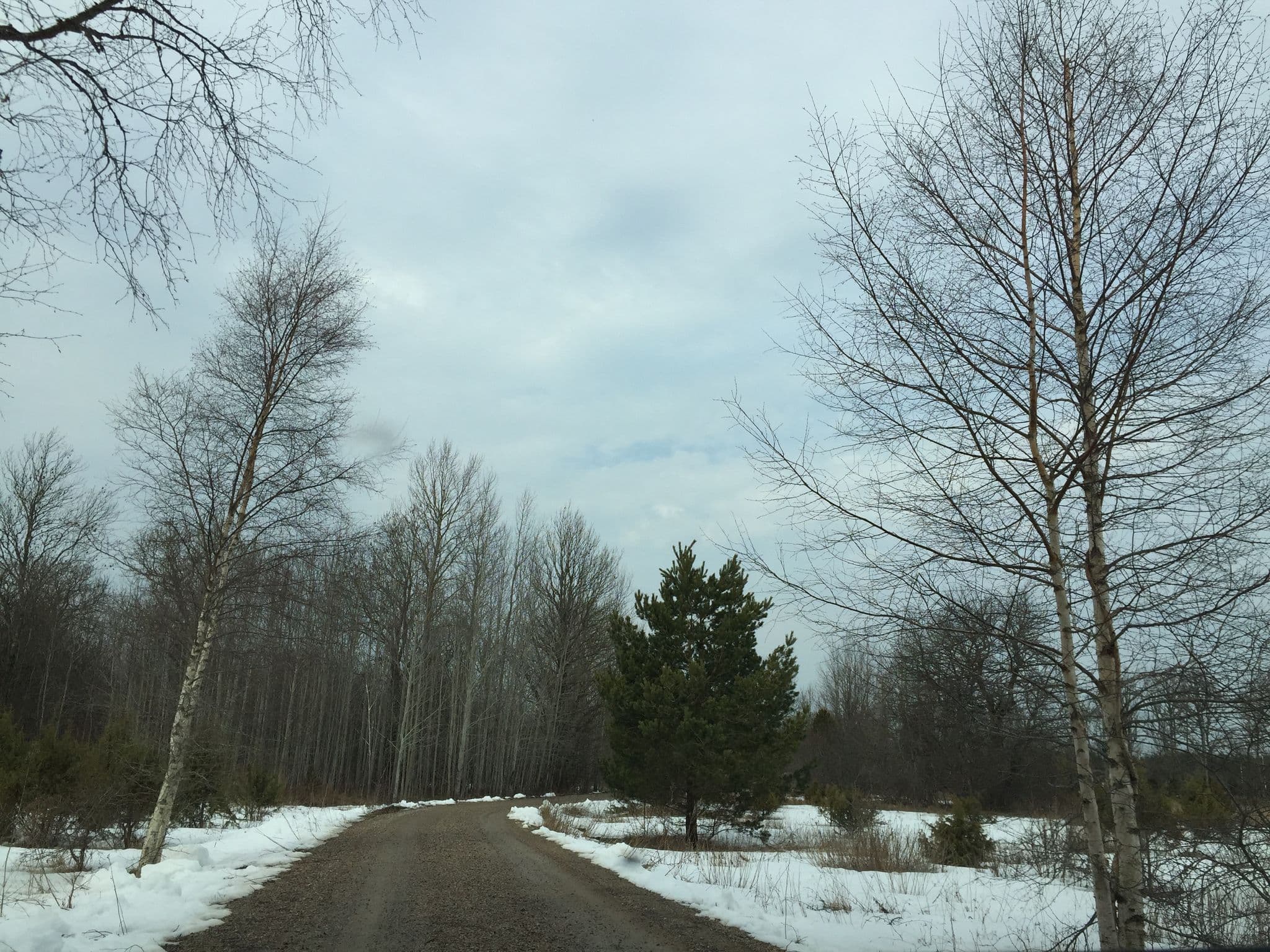 Street view near Essi Turismitalu, Kuressaare — © richlv (CC BY-SA · Mapillary)