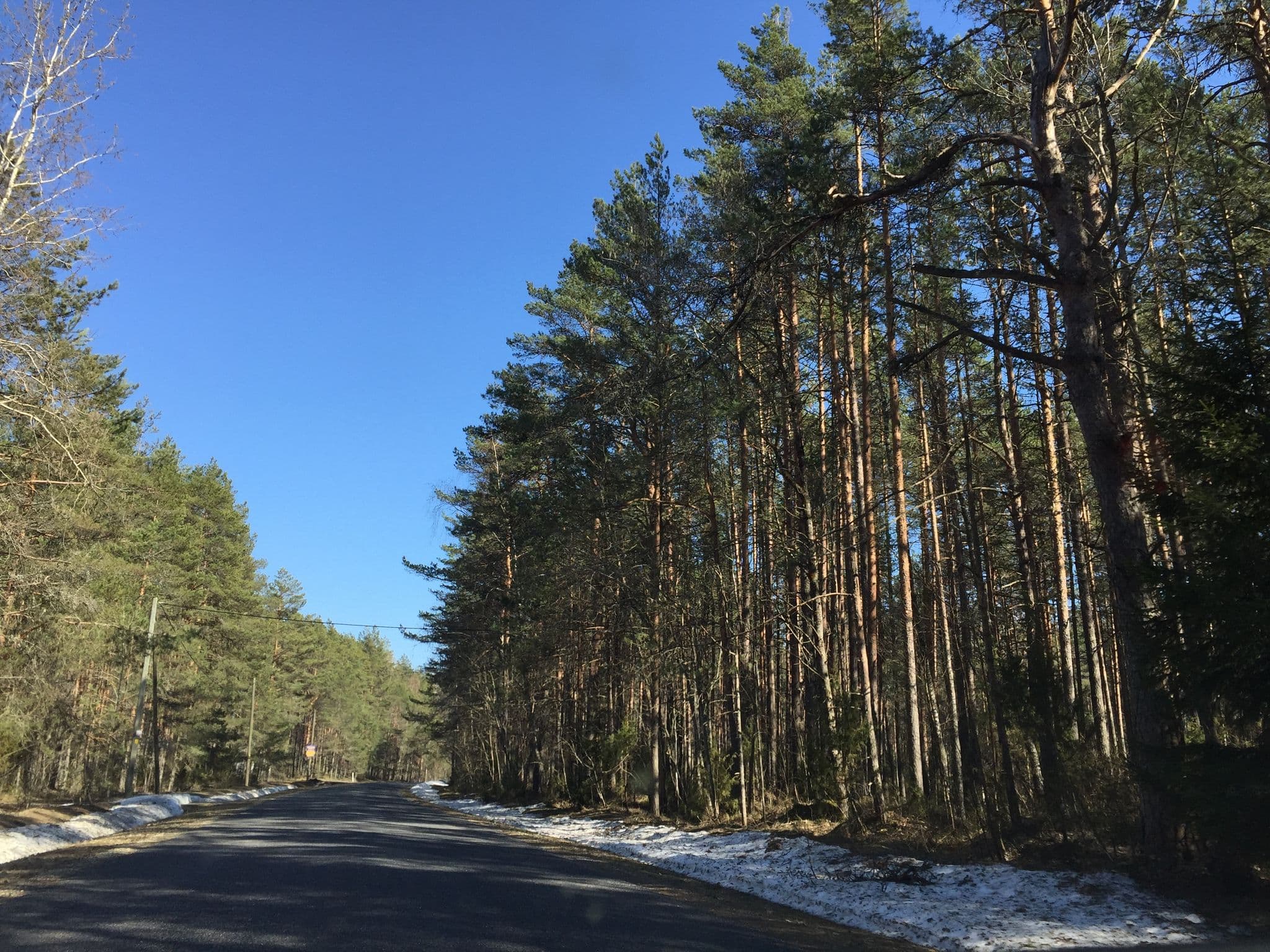 Street view near Villa Marika, Iisaku — © richlv (CC BY-SA · Mapillary)