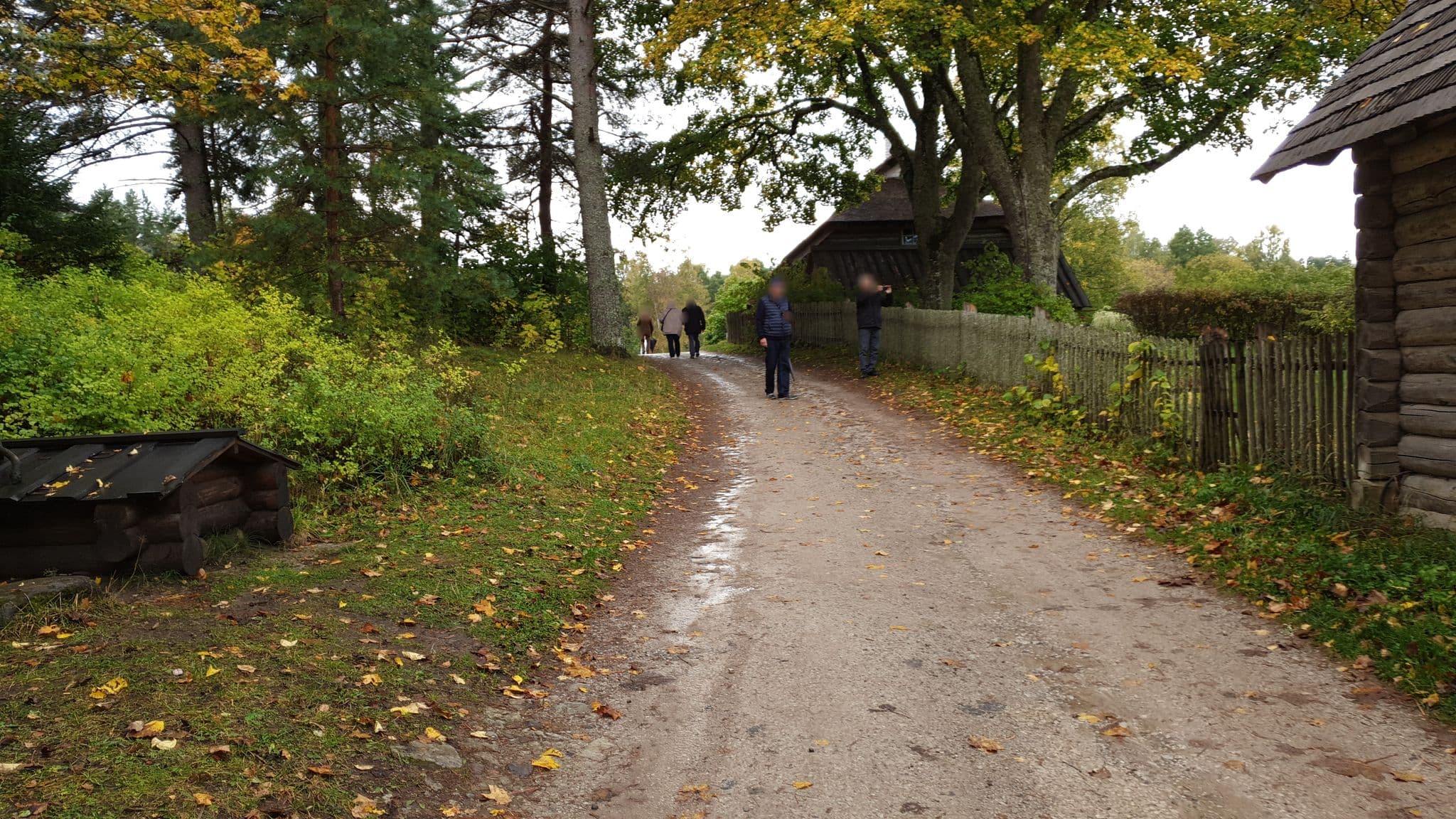 Street view near Toomarahva Talu, Haljala — © grobin (CC BY-SA · Mapillary)