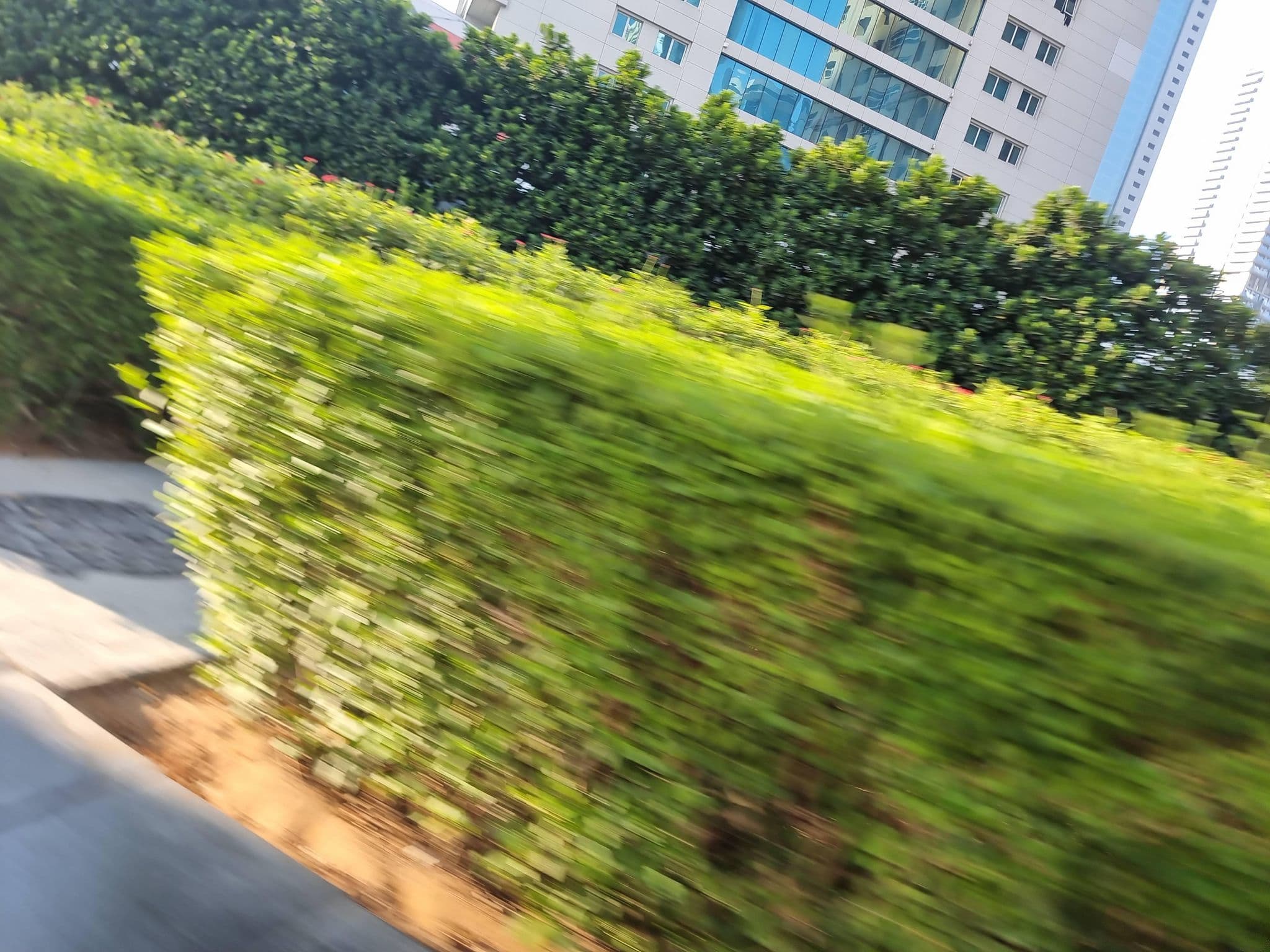 Street view near Almas Tower Swimming Pool, Dubai Marina — © mapfool (CC BY-SA · Mapillary)