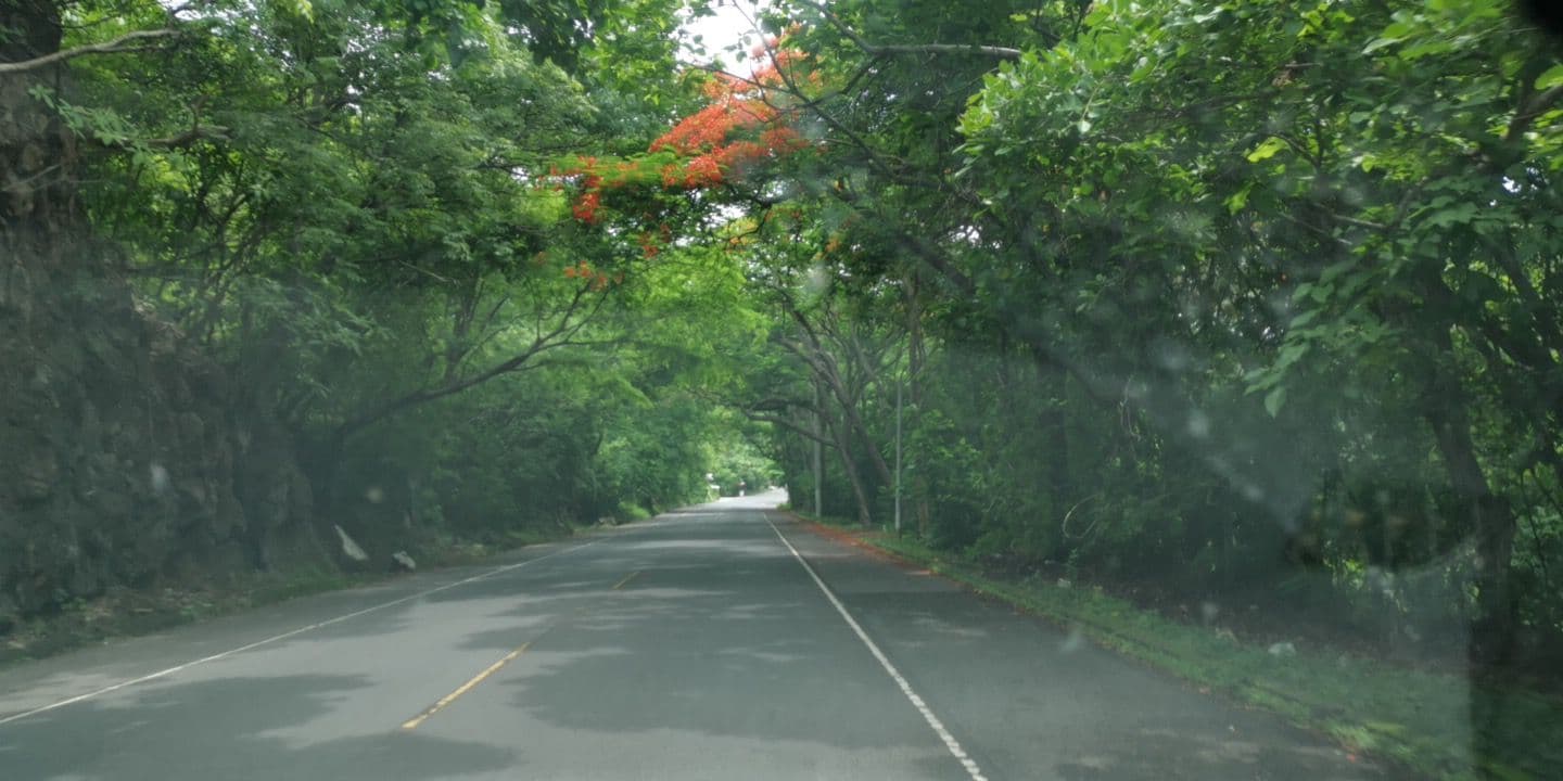 Street view near Hostal Palmeras Estancia Café., La Libertad — © jkanales (CC BY-SA · Mapillary)